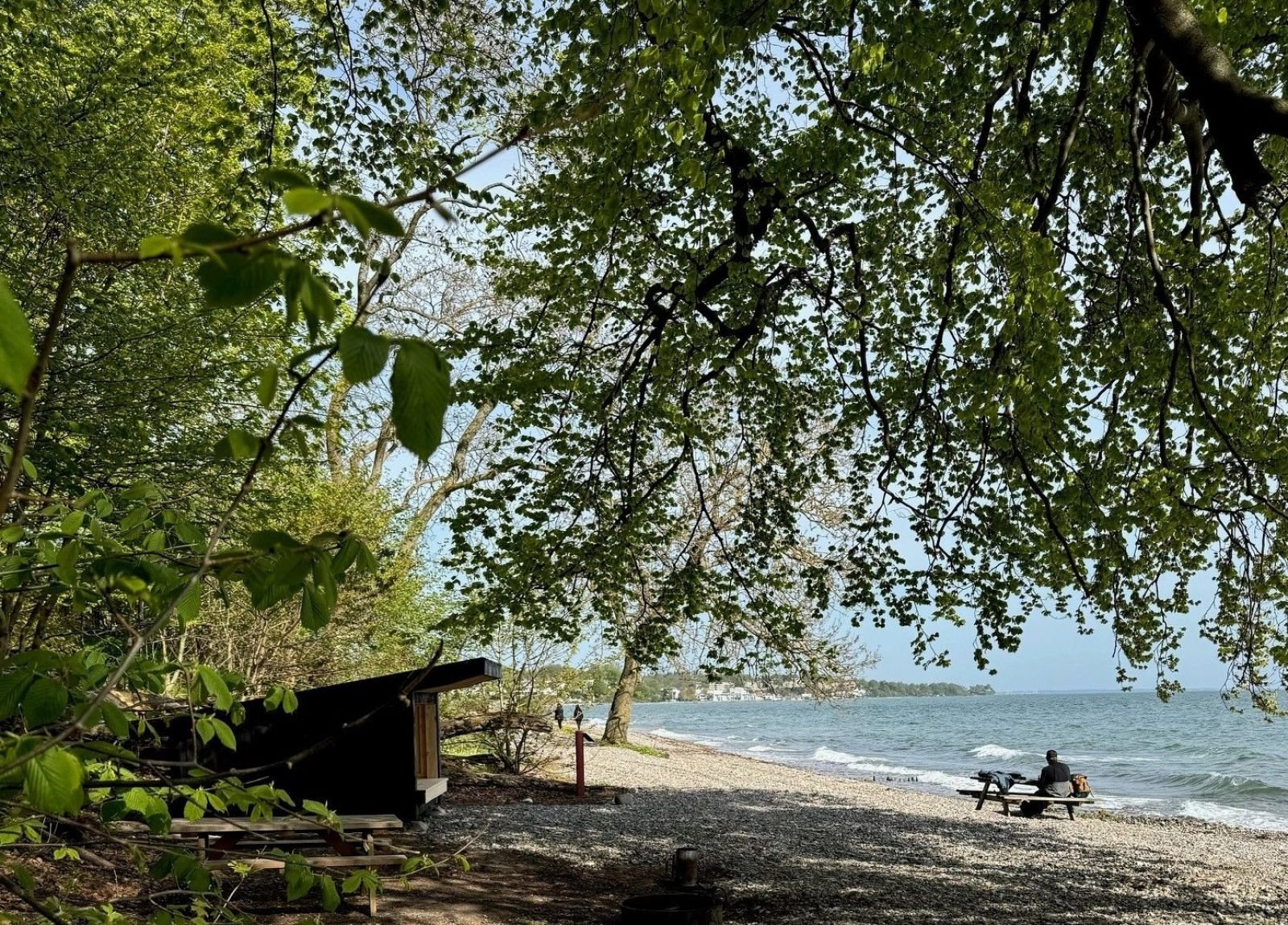 Der er kommet en shelter ved Strandmøllekroen.