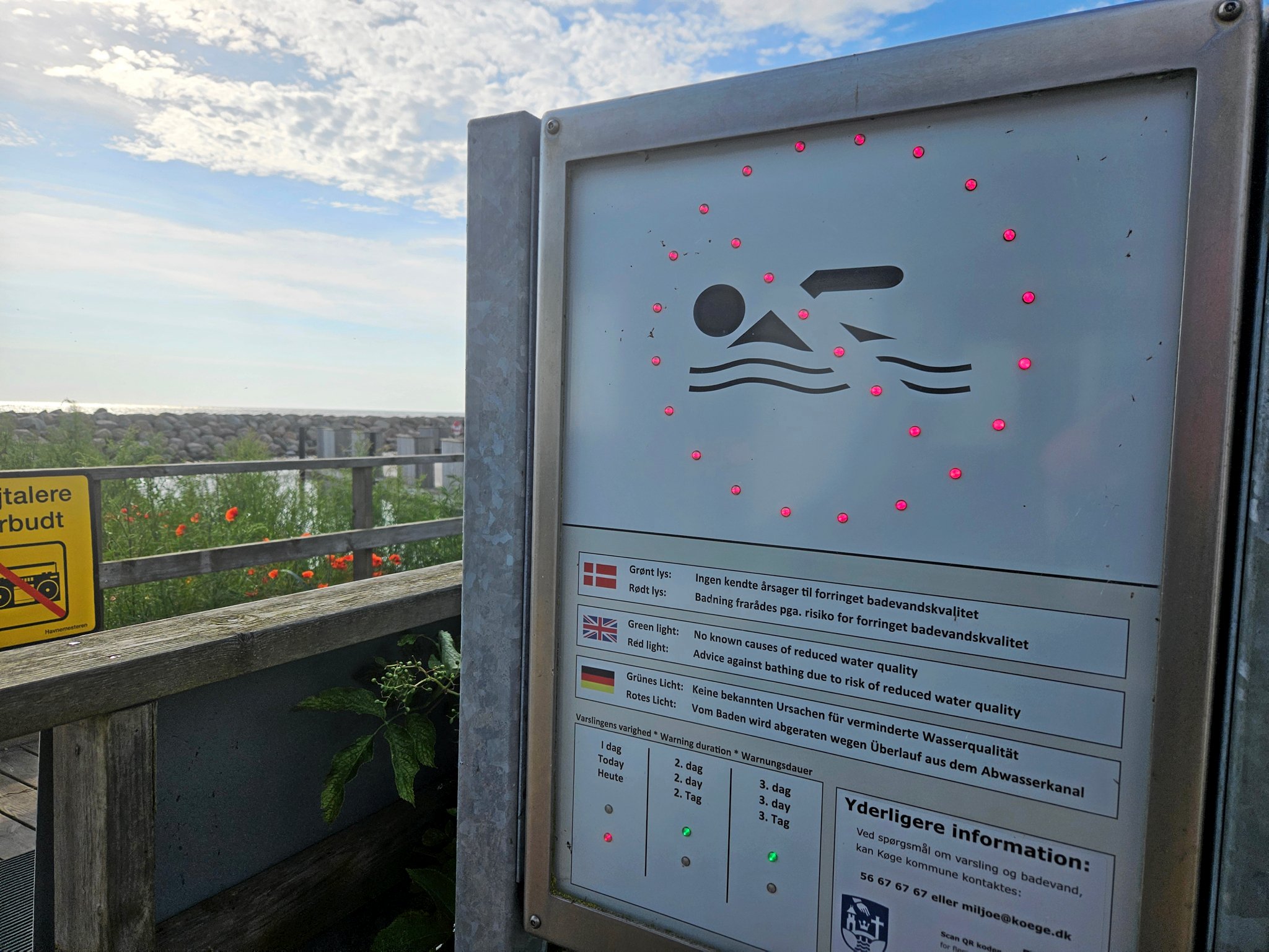 I starten af juli frarådede Køge Kommune badning i havnebadet.