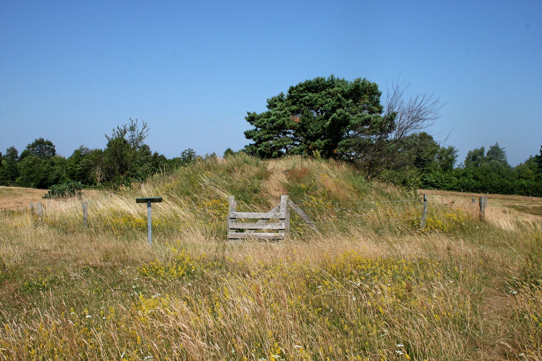 De syv gravhøje i Melby har skabt problemer for Melby menighedsråd, som ikke ønsker at eje området længere. Menighedsrådet måtte ikke donere jorden til Halsnæs Kommune, som ellers var ønsket.