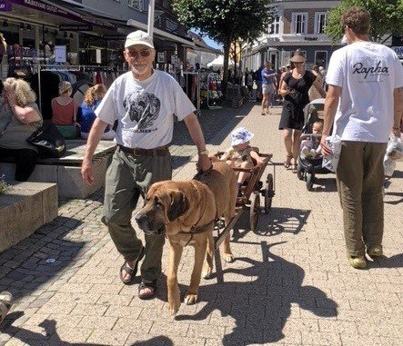 Odin trak de mindste gennem Algade.