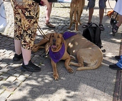 En gigant kan også trænge til skygge i ny og næ. - Privatfoto En gigant kan også trænge til skygge i ny og næ.