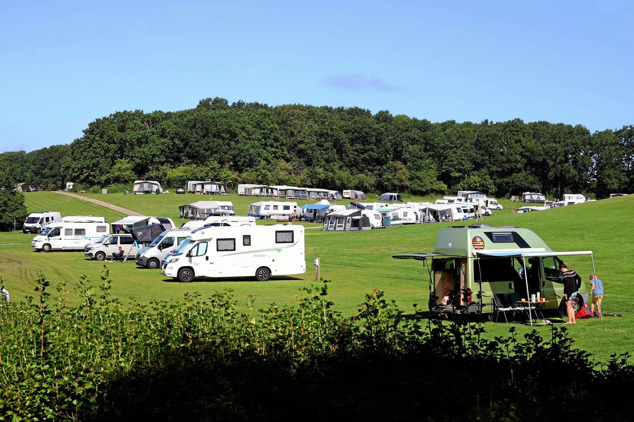 Roskilde Camping ligger i Vigen Strandpark ved Veddelev ud til Roskilde Fjord.