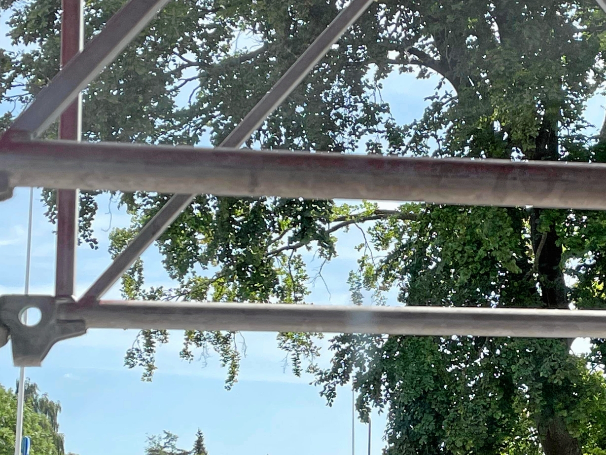 Sådan så det ud i sommer, da en af de største grene på det store bøgetræ ved Alkestrupskolen var faldet til jorden. Træet måtte siden fældes. - Mette Laustrup Sådan så det ud i sommer, da en af de største grene på det store bøgetræ ved Alkestrupskolen var faldet til jorden. Træet måtte siden fældes.