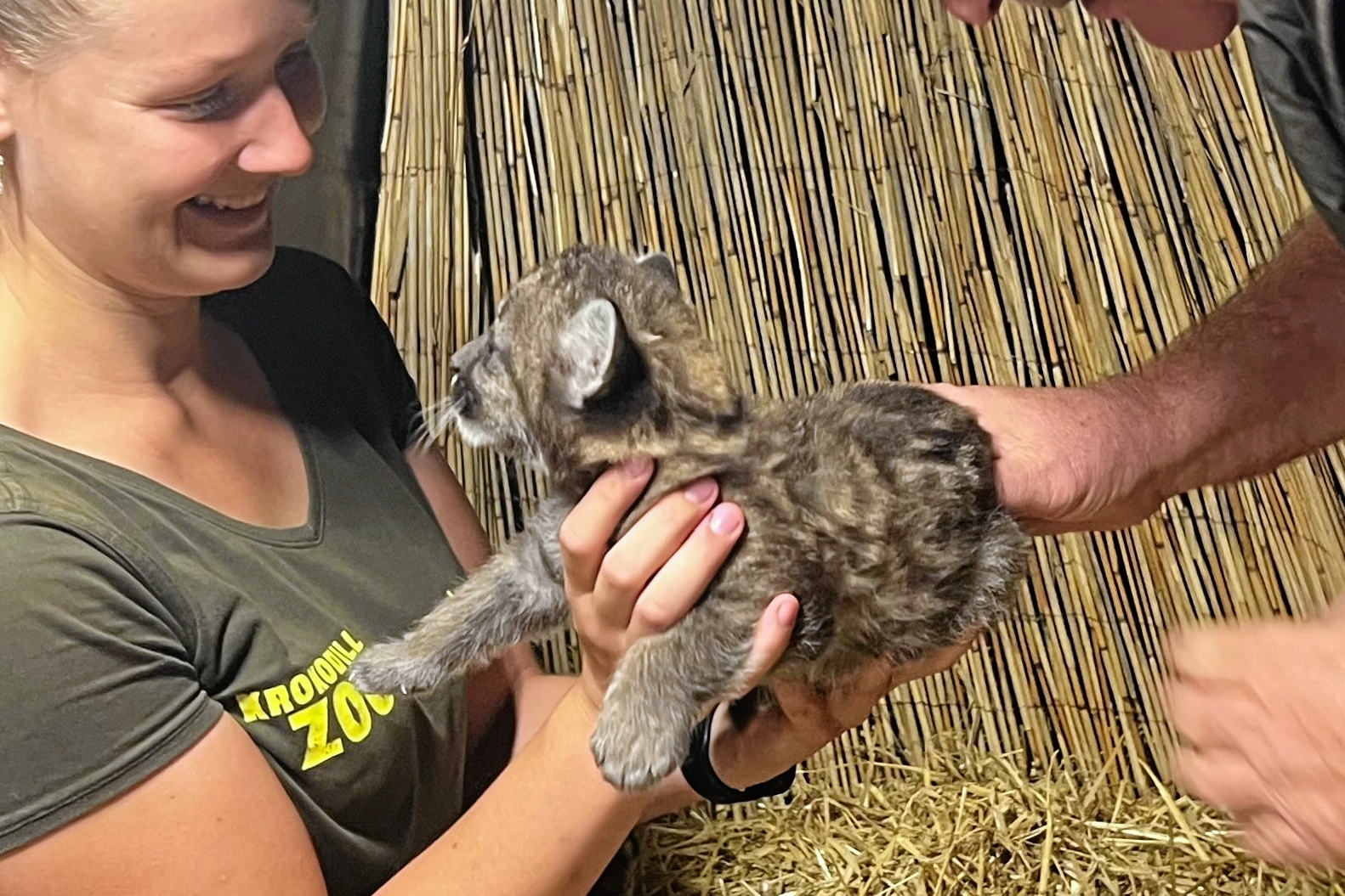 Velkommen til verden. - Krokodille Zoo Velkommen til verden.