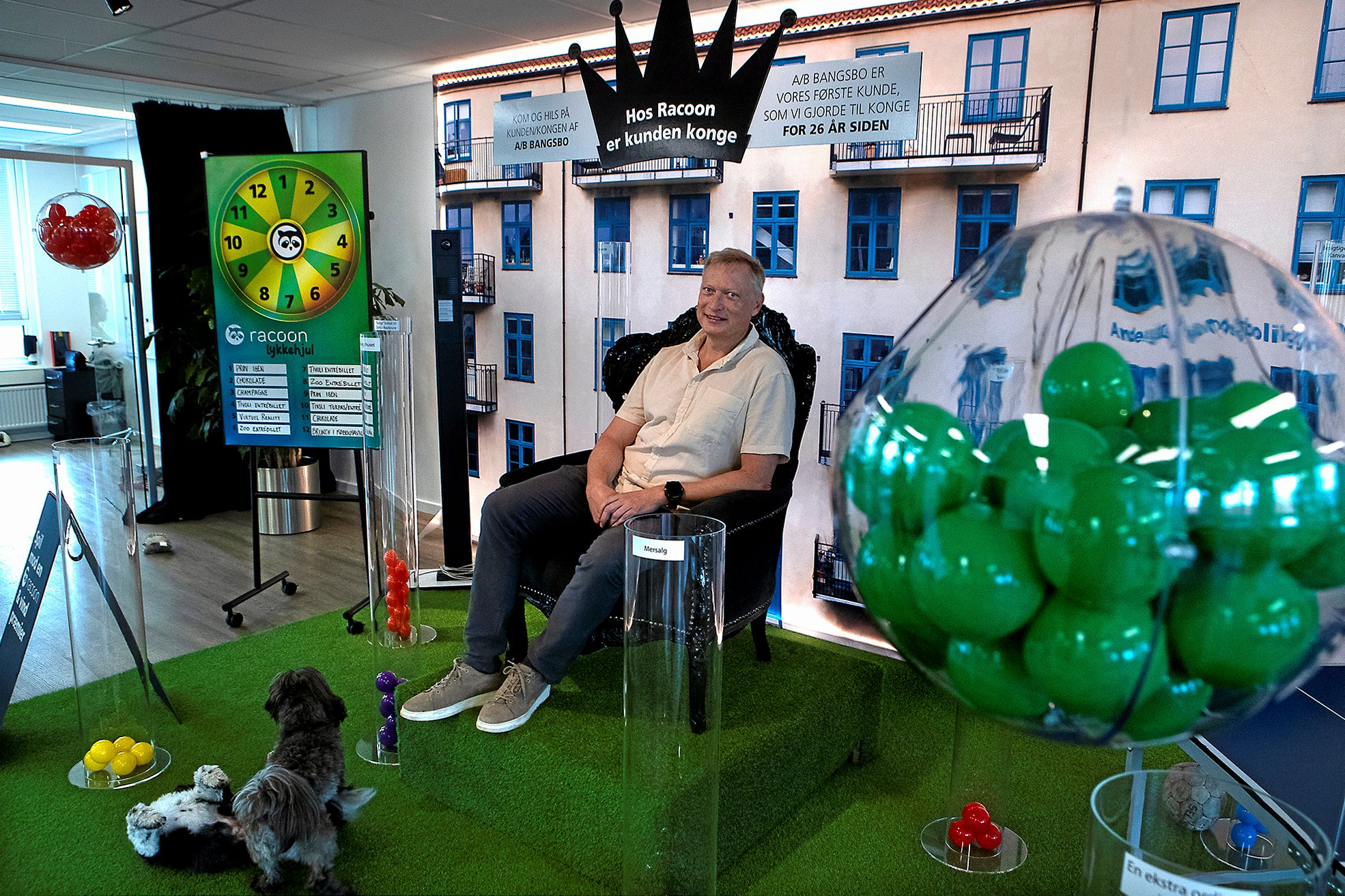 Racoon-stifter fyrer sig selv og søger afløser – Sjællandske Nyheder