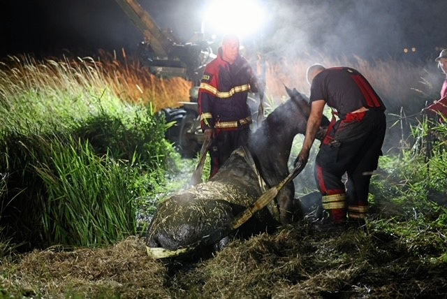 Efter små tre timer skete det så: Connie blev trukket op af vandhullet. - presse-fotos.dk Efter små tre timer skete det så: Connie blev trukket op af vandhullet.