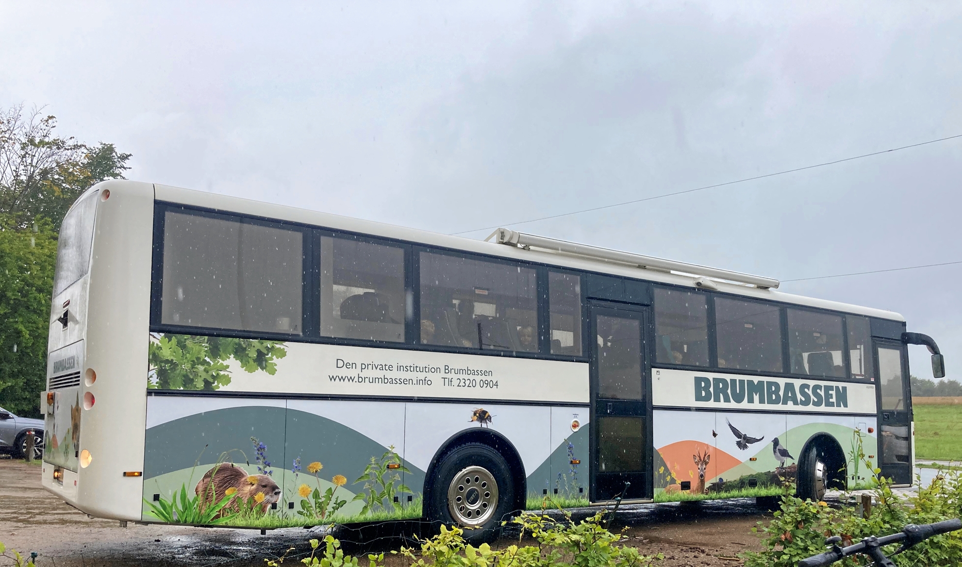 Der er billeder af både bæver, ræv og rådyr på Brumbassens nye bus. - Presse Der er billeder af både bæver, ræv og rådyr på Brumbassens nye bus.