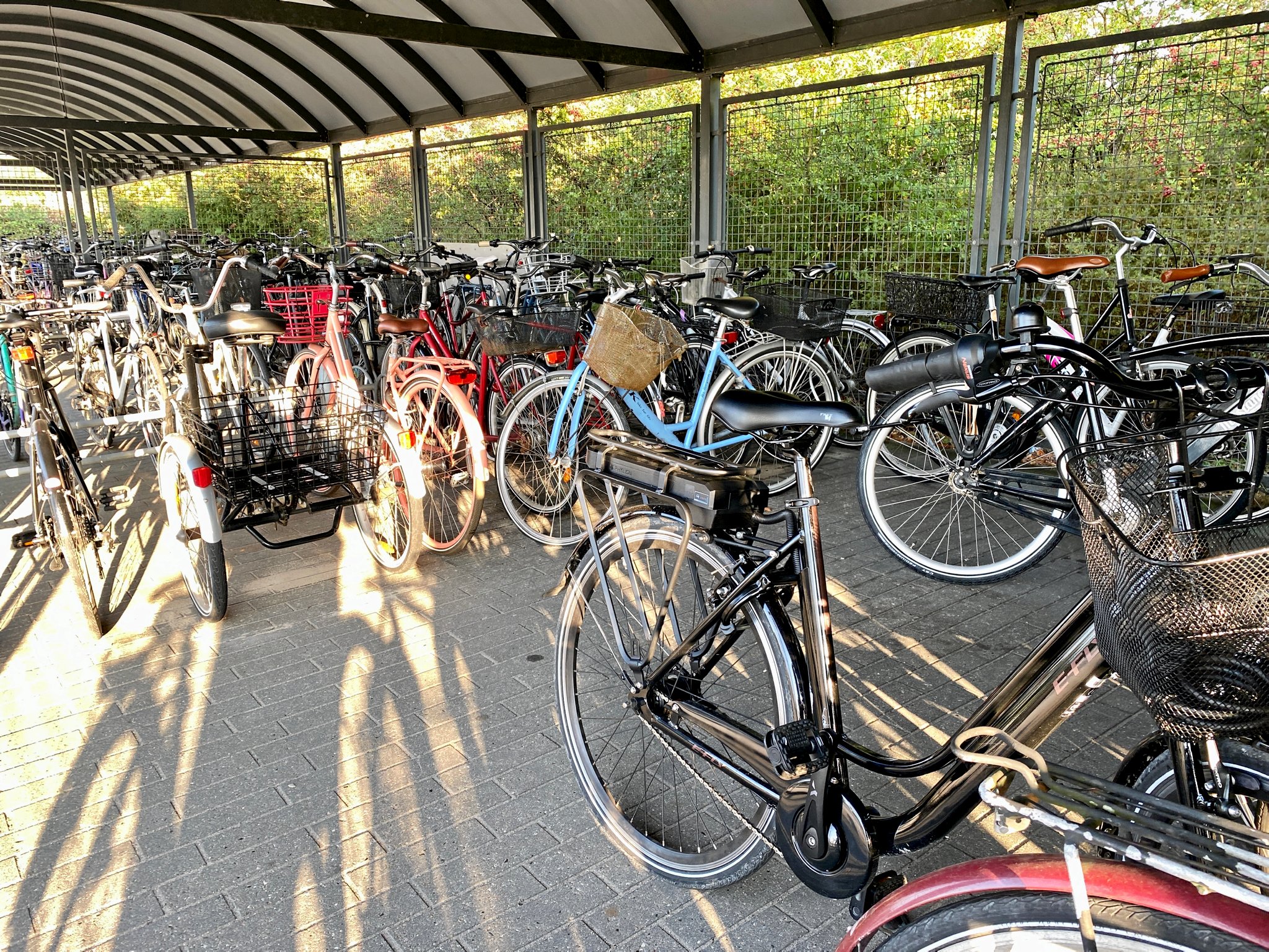 Mange internationale studerende ankommer uden cykel, og derfor bliver borgere på Kalundborg Kommunes hjemmeside opfordret til at finde de brugbare jernheste frem og sælge dem for en billig penge ved et marked på Klostertorvet i Kalundborg lørdag den 29. august.