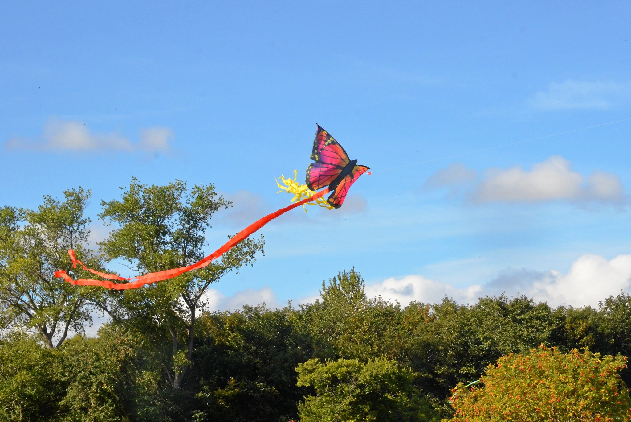 Der kunne godt have været mere vind til dragerne - til gengæld nød de mange deltagere det dejlige vejr.