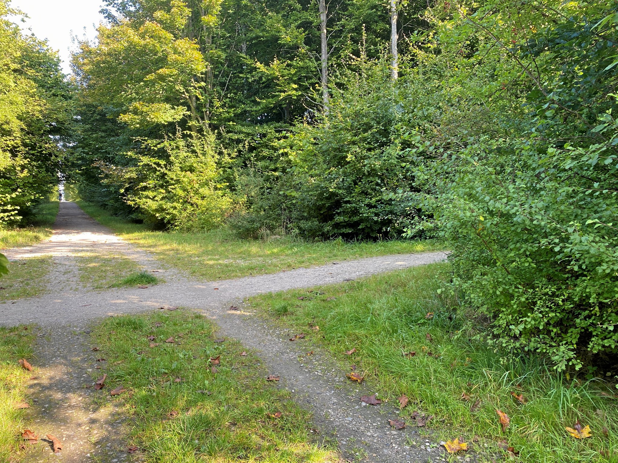 En 46-årig mand blev fredag kidnappet og bortført fra Hyrdehøj Skov.
