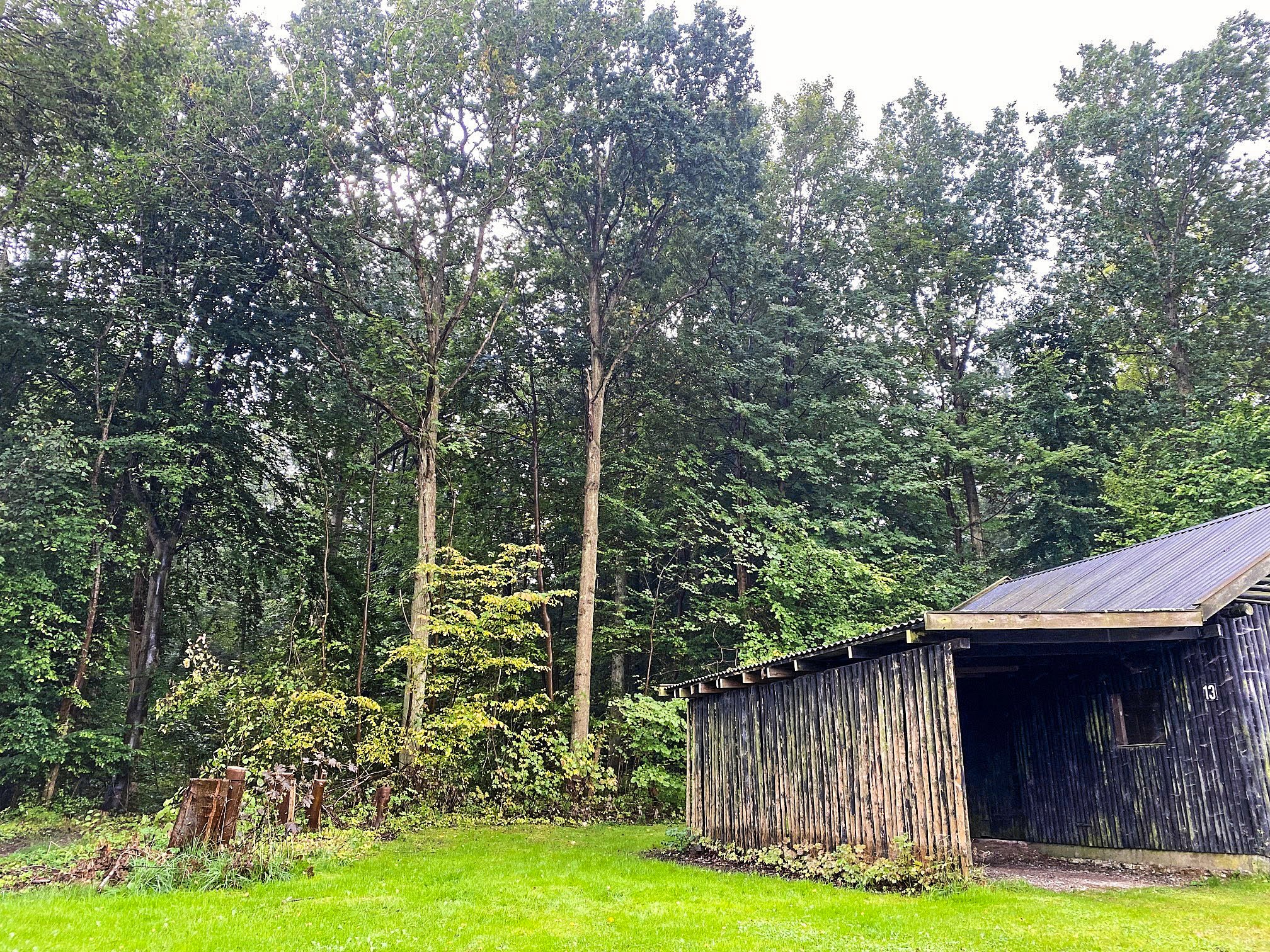 Det er på denne grund i Buresø, at en 48 meter høj mobilmast kan blive placeret, men Egedal Kommune holder også døren åben for alternative placeringer.