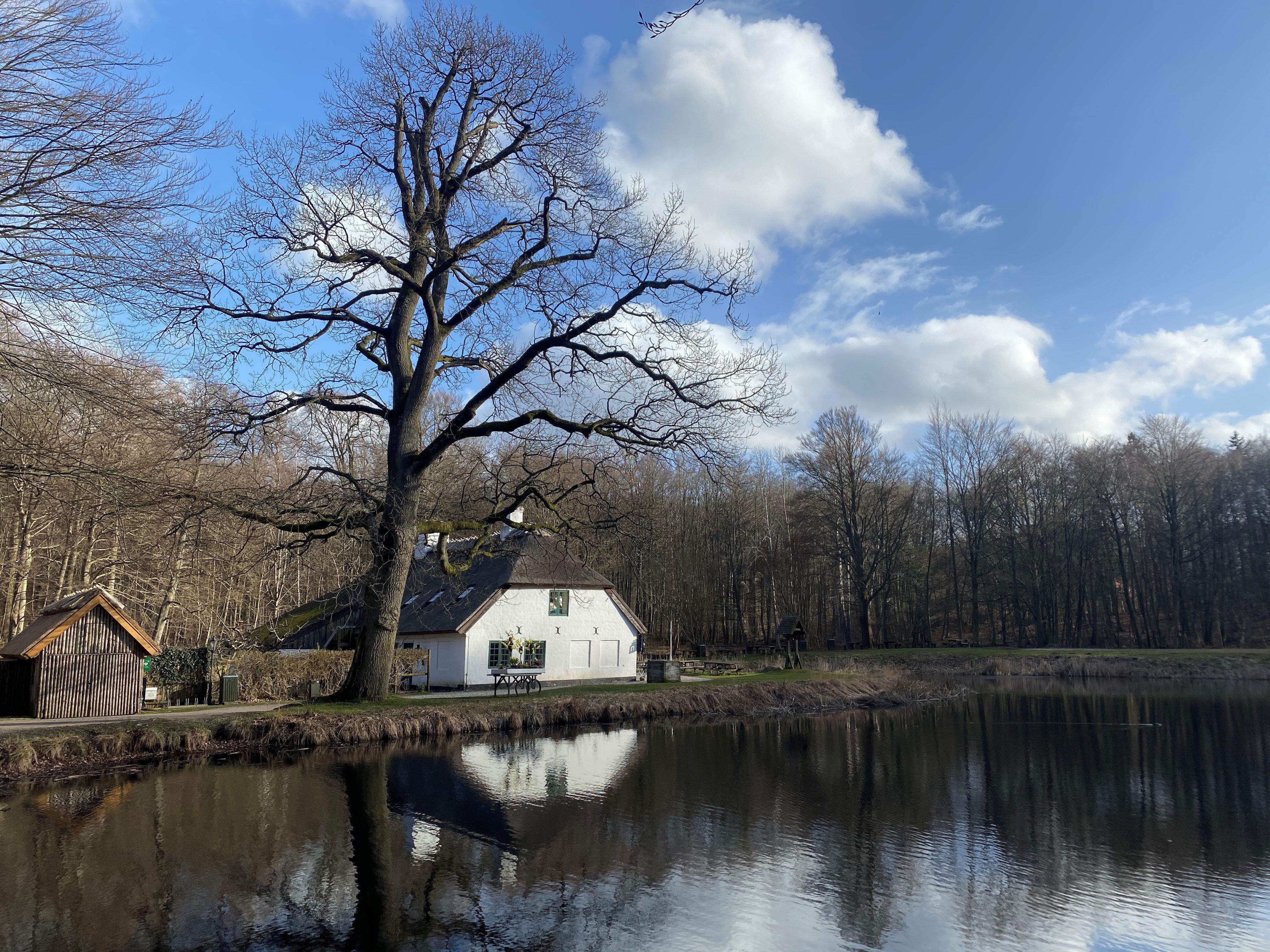 Hvor kan man placere et to meter højt hegn her omkring Hammermøllen og den unikke industrihistorie uden at det giver unødige gener?