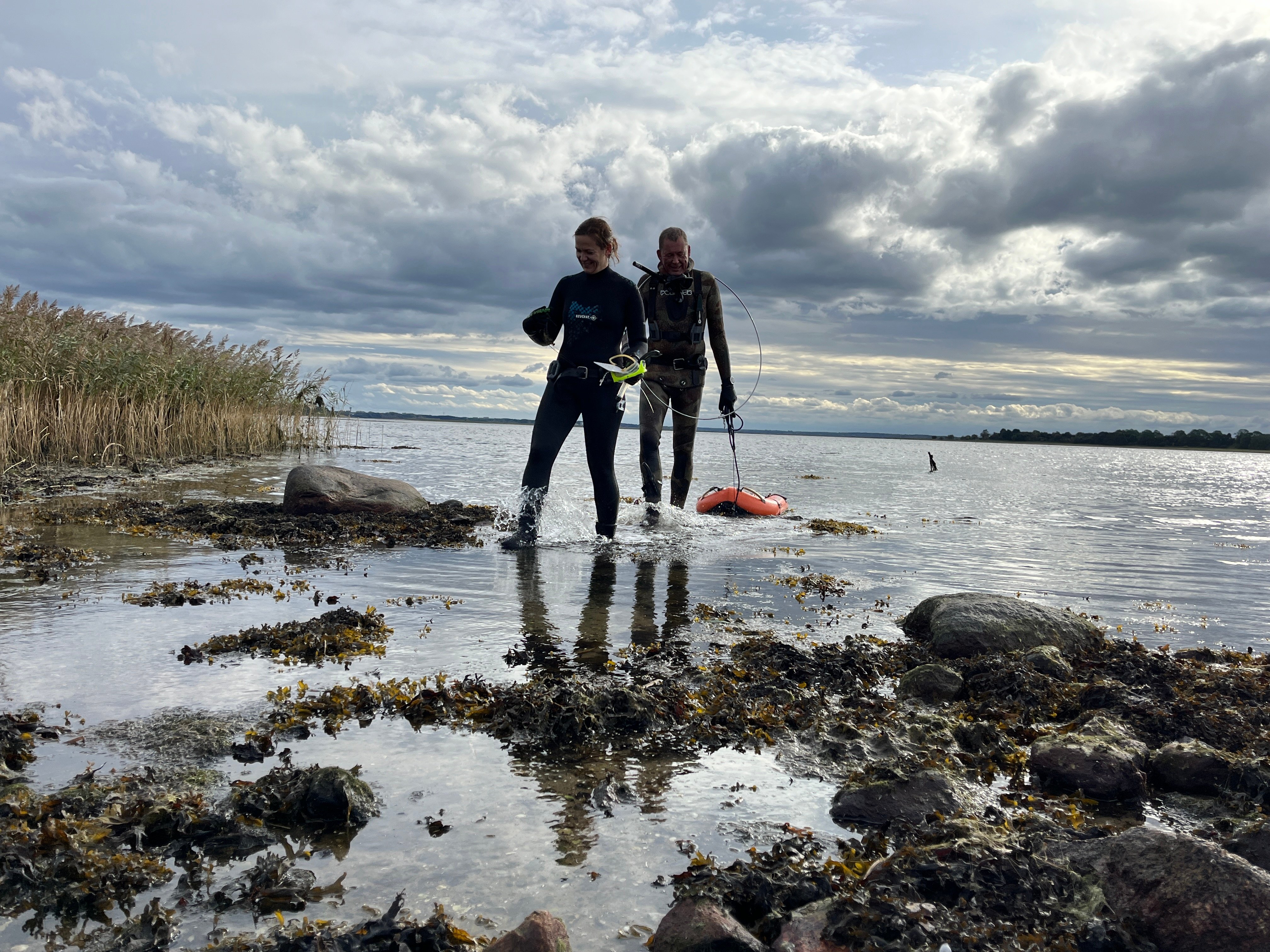 Nationalpark Skjoldungernes Land kan nu fortsætte arbejdet med at udlægge alle planlagte stenrev i Roskilde Fjord