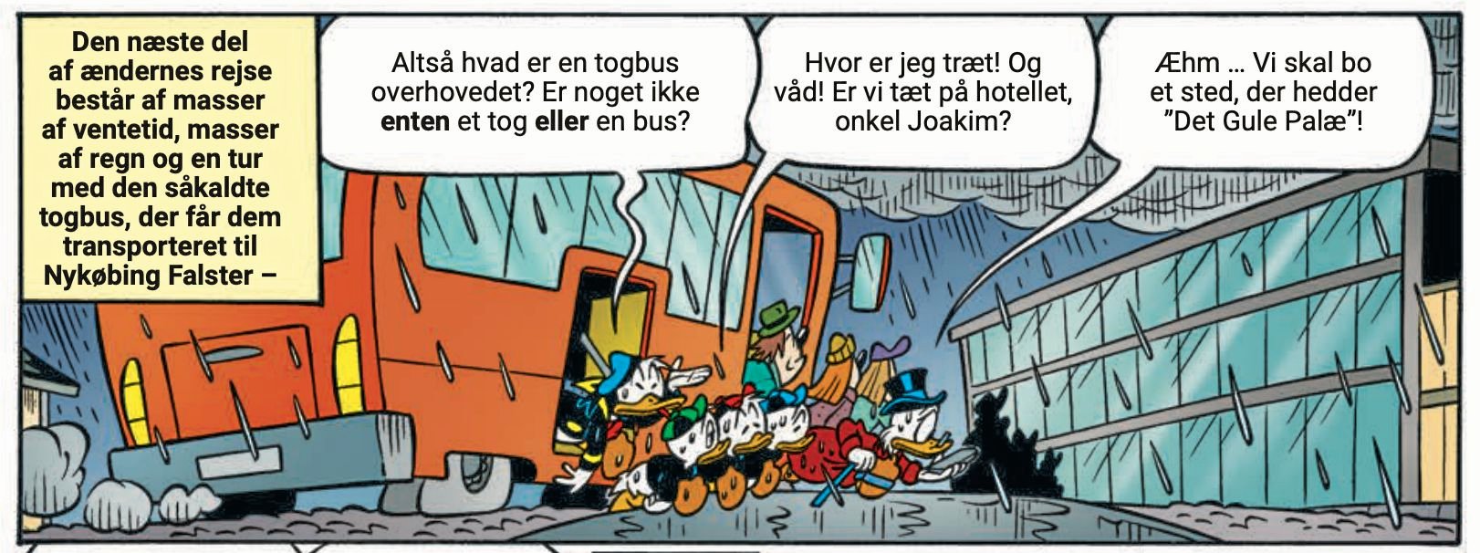 Sådan ser det blandt andet nu når den velkendte andefamilie drager til Lolland-Falster.