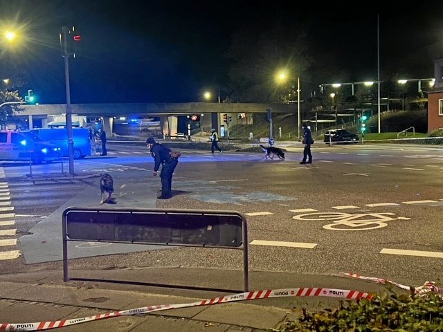 Politiet var lørdag den 12. oktober stærkt til stede i området omkring Værløse Station.