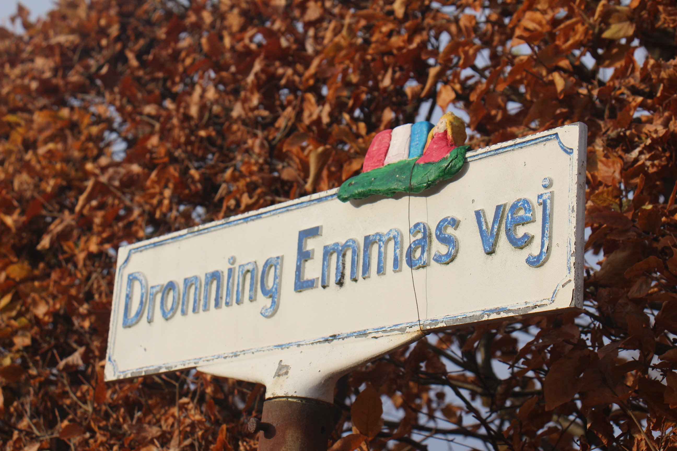 Flere vejskilte i Roskildes dronningekvarter er blevet udsmykket, så de fortæller om den historiske person bag vejnavnet. Emma af Normandiet var Knud den Stores hustru.