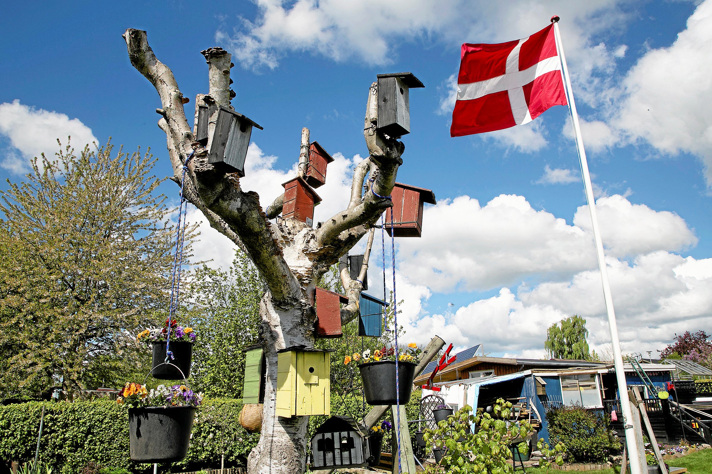 Ude i en af kommunens kolonihaver er idyllen brudt af en større regning. Derfor mødes foreningen og kommunen nu i retten.