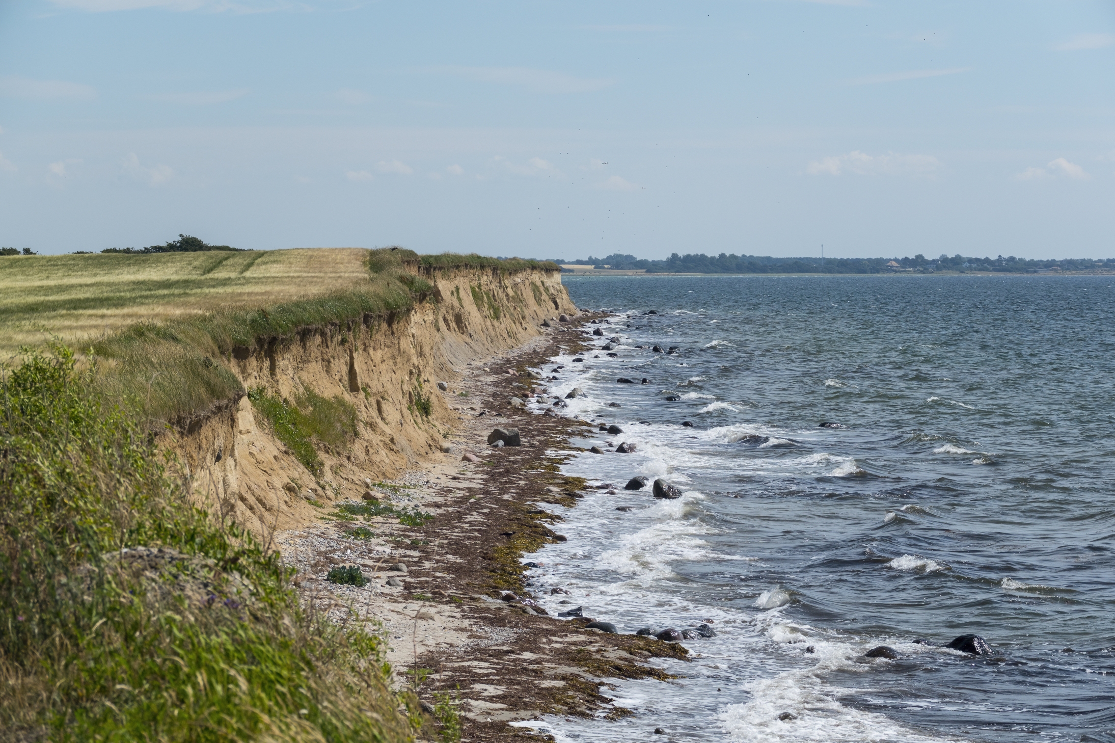 Et område på 175.000 hektar ved Smålandsfarvandet skal undersøges i forbindelse med oprettelse af en ny nationalpark. På billedet ses vestkysten af Enø i Smålandsfarvandet. (Arkivfoto). - Johnny Madsen/Ritzau Scanpix Et område på 175.000 hektar ved Smålandsfarvandet skal undersøges i forbindelse med oprettelse af en ny nationalpark. På billedet ses vestkysten af Enø i Smålandsfarvandet. (Arkivfoto).