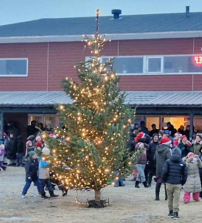 Roskilde har sendt et juletræ til venskabsbyen Nanortalik i Grønland.