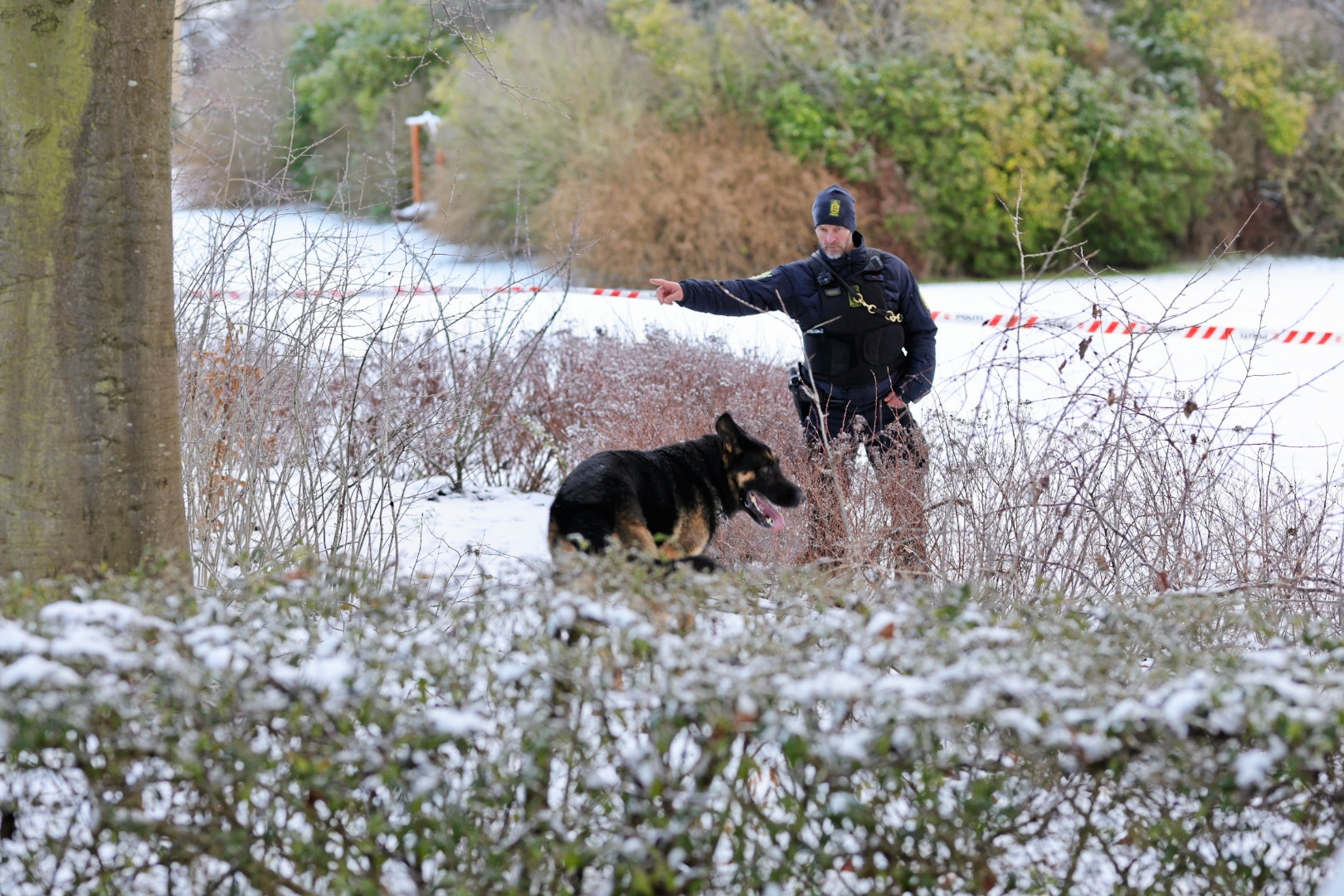 Politiet leder fredag formiddag efter spor omkring gerningsstedet. - Presse-fotos.dk Politiet leder fredag formiddag efter spor omkring gerningsstedet.