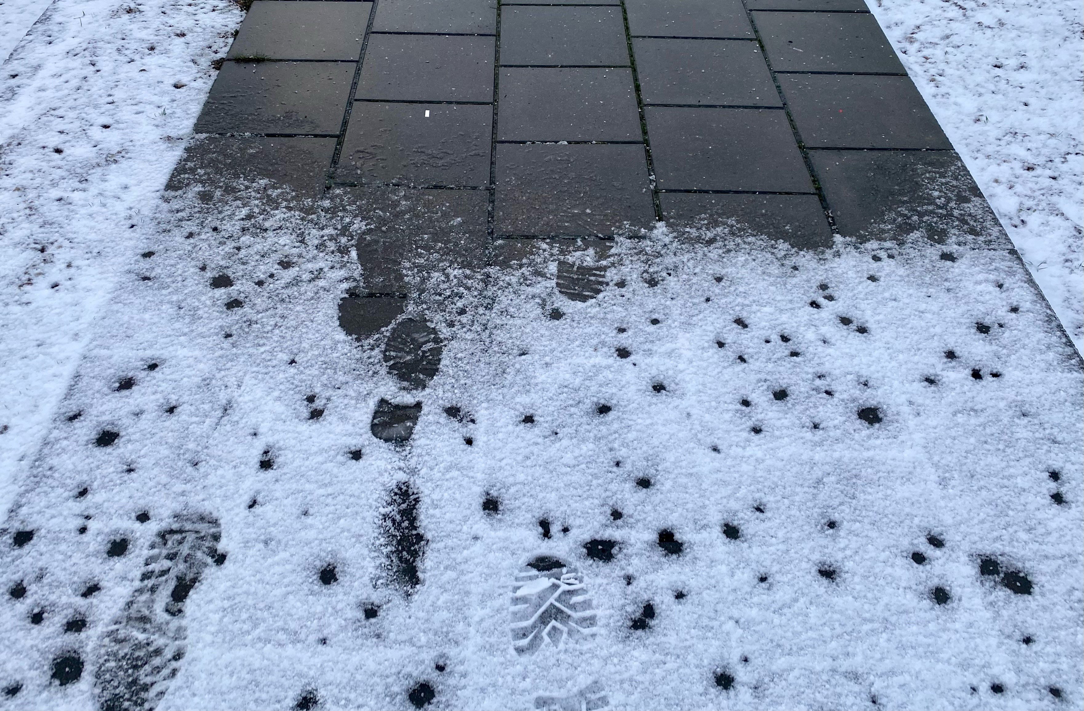 Arbejdet med at rydde sne og salte har været så omfattende, at det har presset likviditeten hos NSPV.