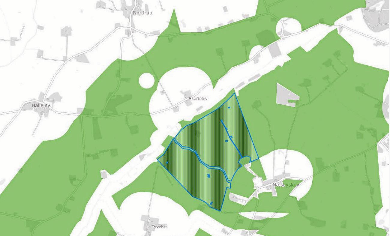 Dette kort viser det skraverede område på 98 hektar ved Næsbyskov, hvor der planlægges solcellepark. Sagen er dog endnu ikke færdigbehandlet, idet der skal laves lokalplan. De grønne arealer angiver arealer, hvor der i følge kommuneplanen er mulighed for at opstillle solceller.