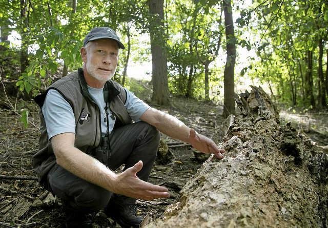 Naturforvalter ved Fugleværnsfondens reservat ved Gundsømagle Sø, Søren Ring, fortæller om, hvad der skal ske nu, hvor reservatet udvider.
