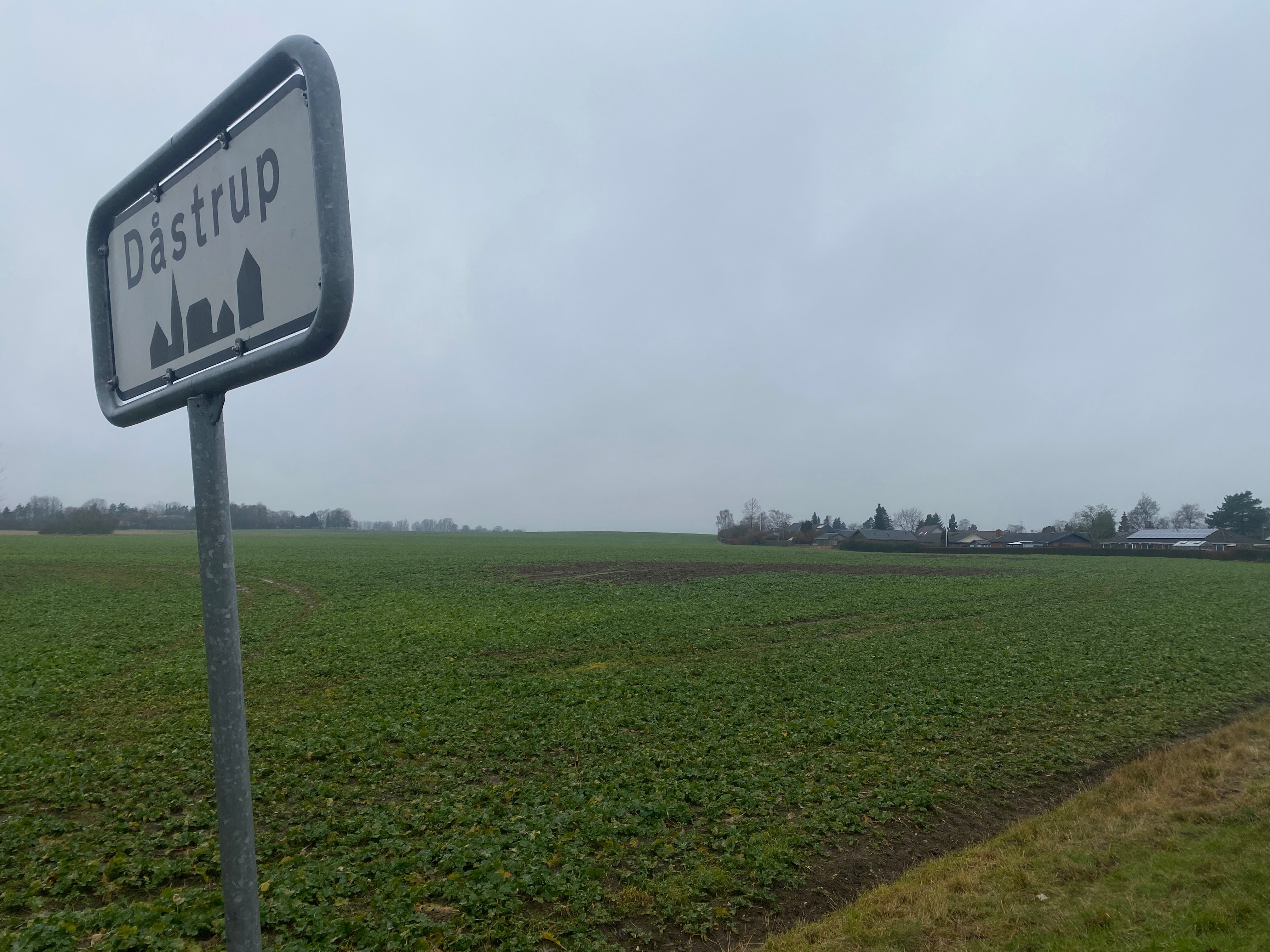 Det er på denne mark mellem Viby og Dåstrup, Roskilde Kommune har lagt op til, at der kan komme en ny skov og 30 nye boliger.