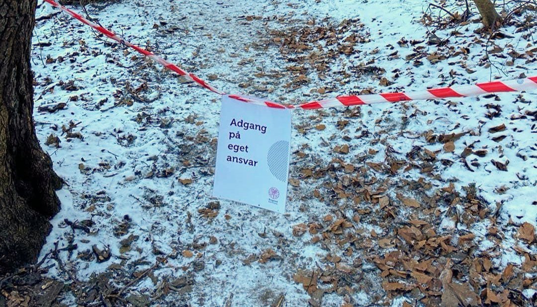 Kommunen måtte sætte dette skilt op, da et fredet træ ved Hvidsø væltede og udgjorde en fare for forbipasserende