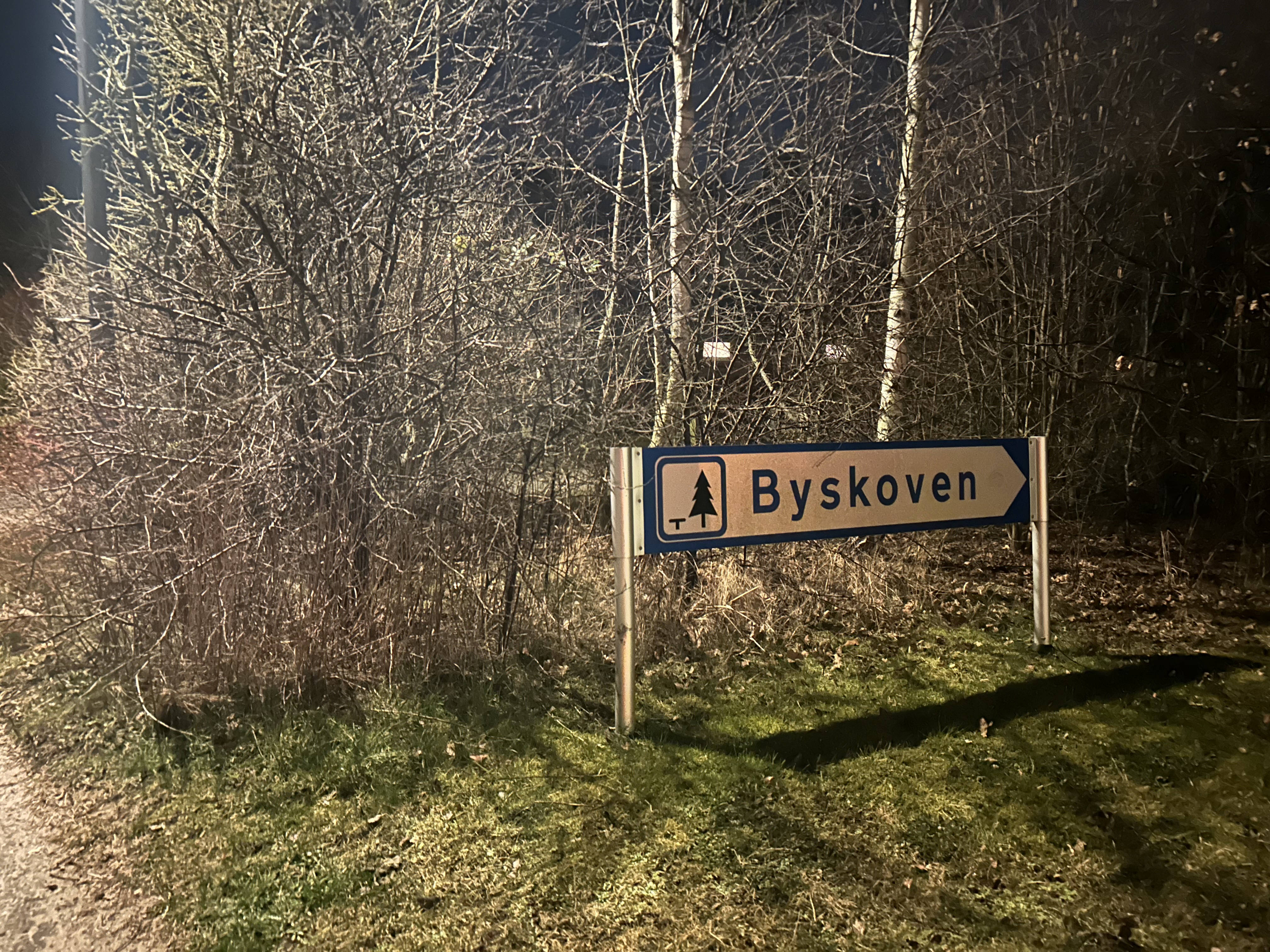 Politiet var mandag aften ude og lede efter spor i et område ved Hårlev Byskov. Ifølge Ekstra Bladet i forbindelse med en 'sædelighedsforbrydelse.'