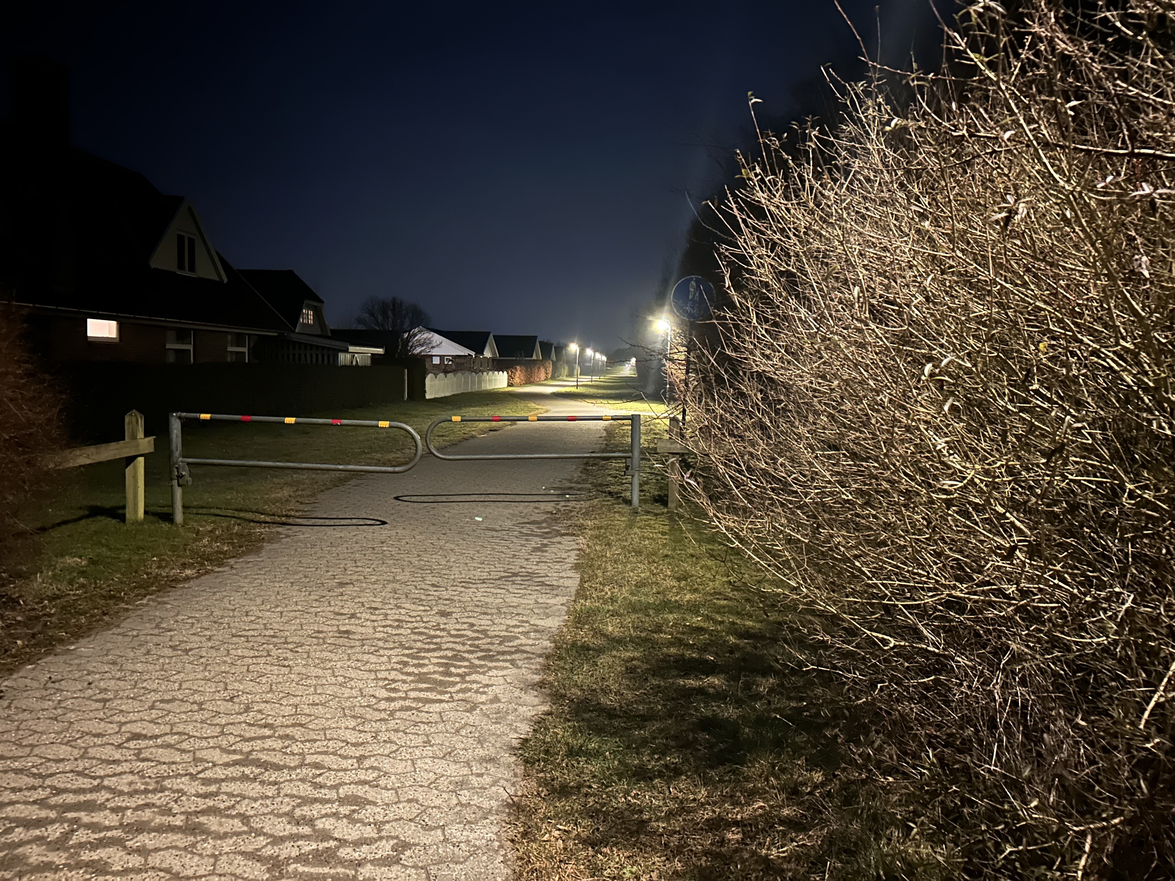 Baunestien her adskiller villakvarteret og Byskoven.