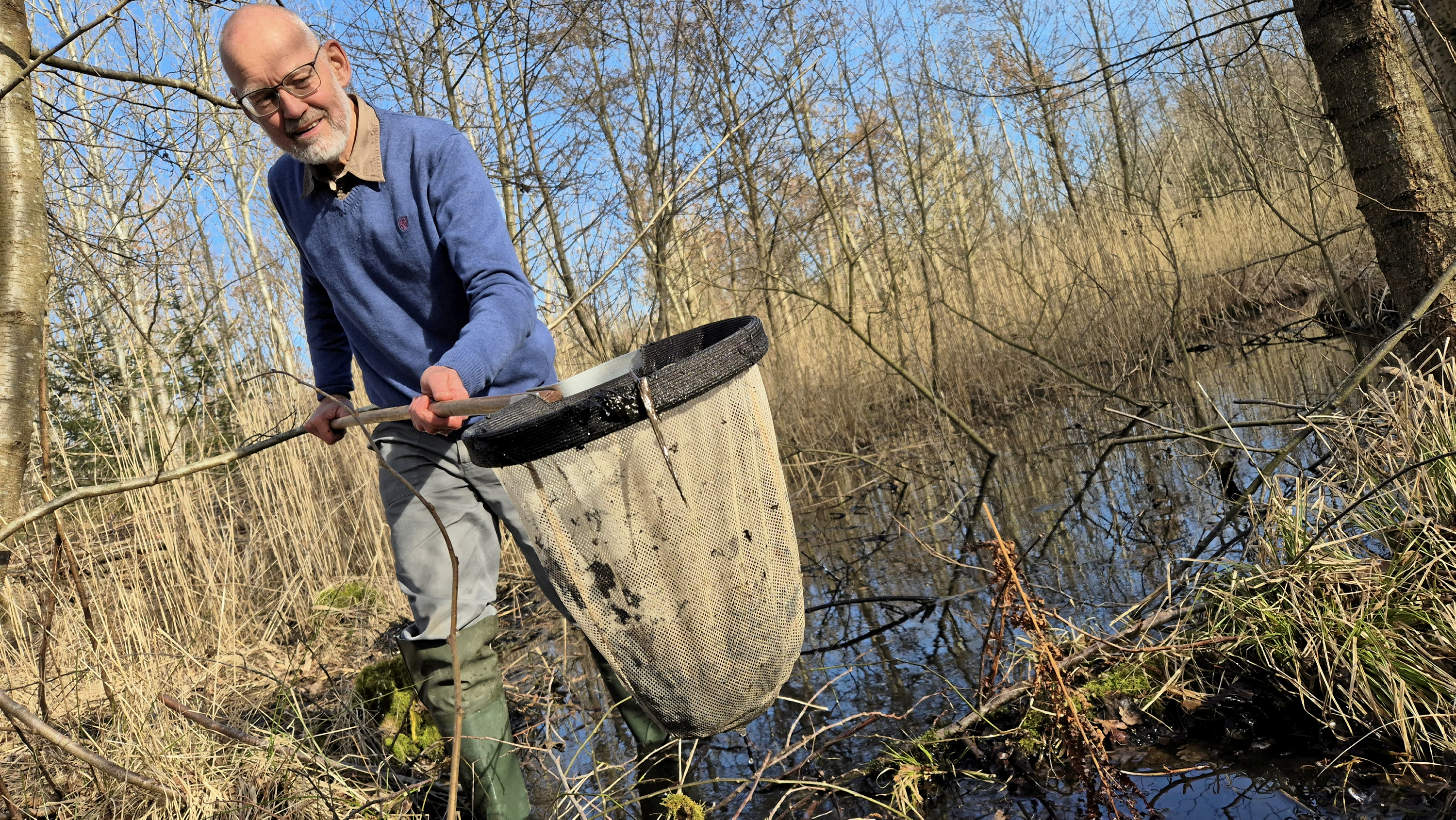 På paddejagt med en bekymret ekspert, der frygter at dyrenes lokale tilholdssteder forsvinder.