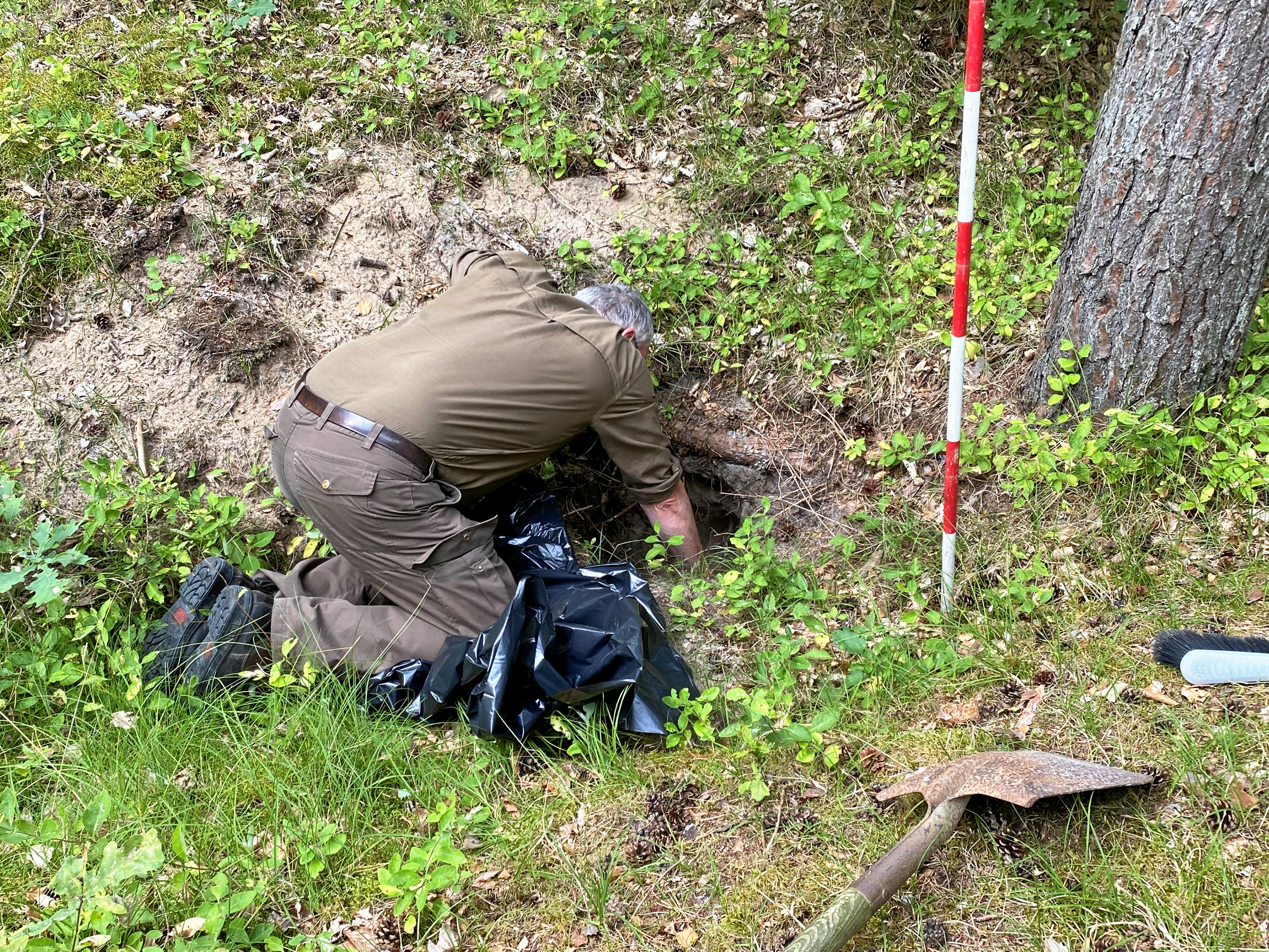 En halv meter nede i skovbunden har skovfoged Søren Agerlund fundet bombefragmenter, som han mener bekræfter en gammel fortælling fra 2. verdenskrig