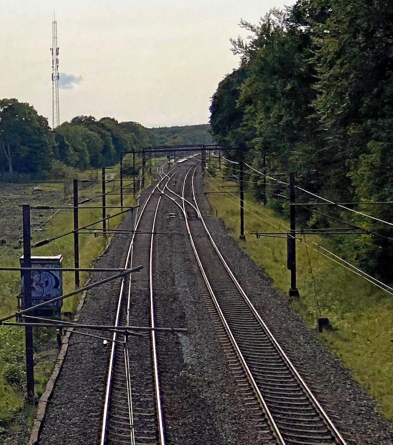 Toget var kørt fra Sorø Station i sporet der ses til venstre, da der pludselig lå en stor afbrækket stamme på tværs af jernbanen inde i Sønderskoven.