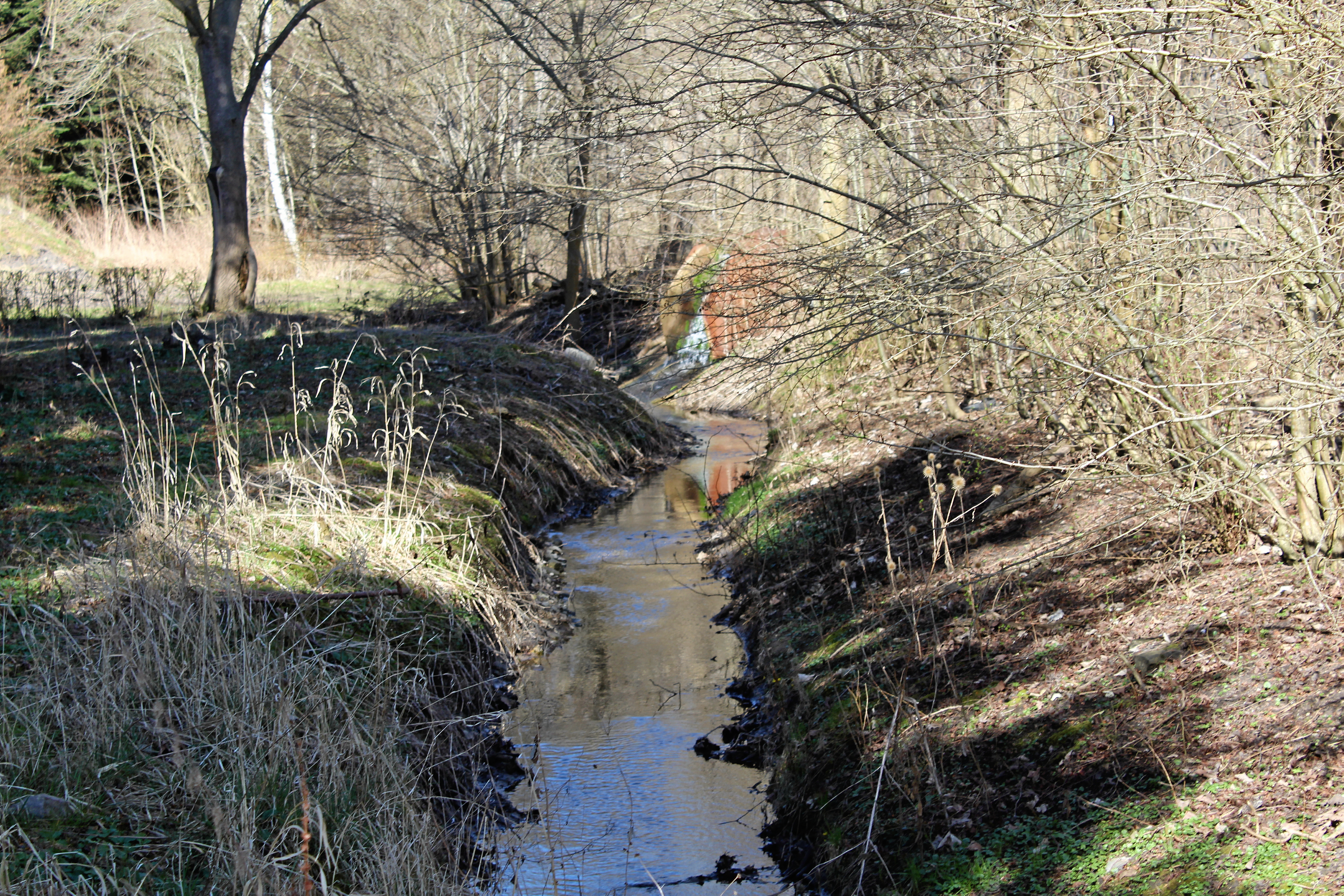 Vandløb som dette skal bevares, mener Danmarks Naturfredningsforenings lokalafdeling.