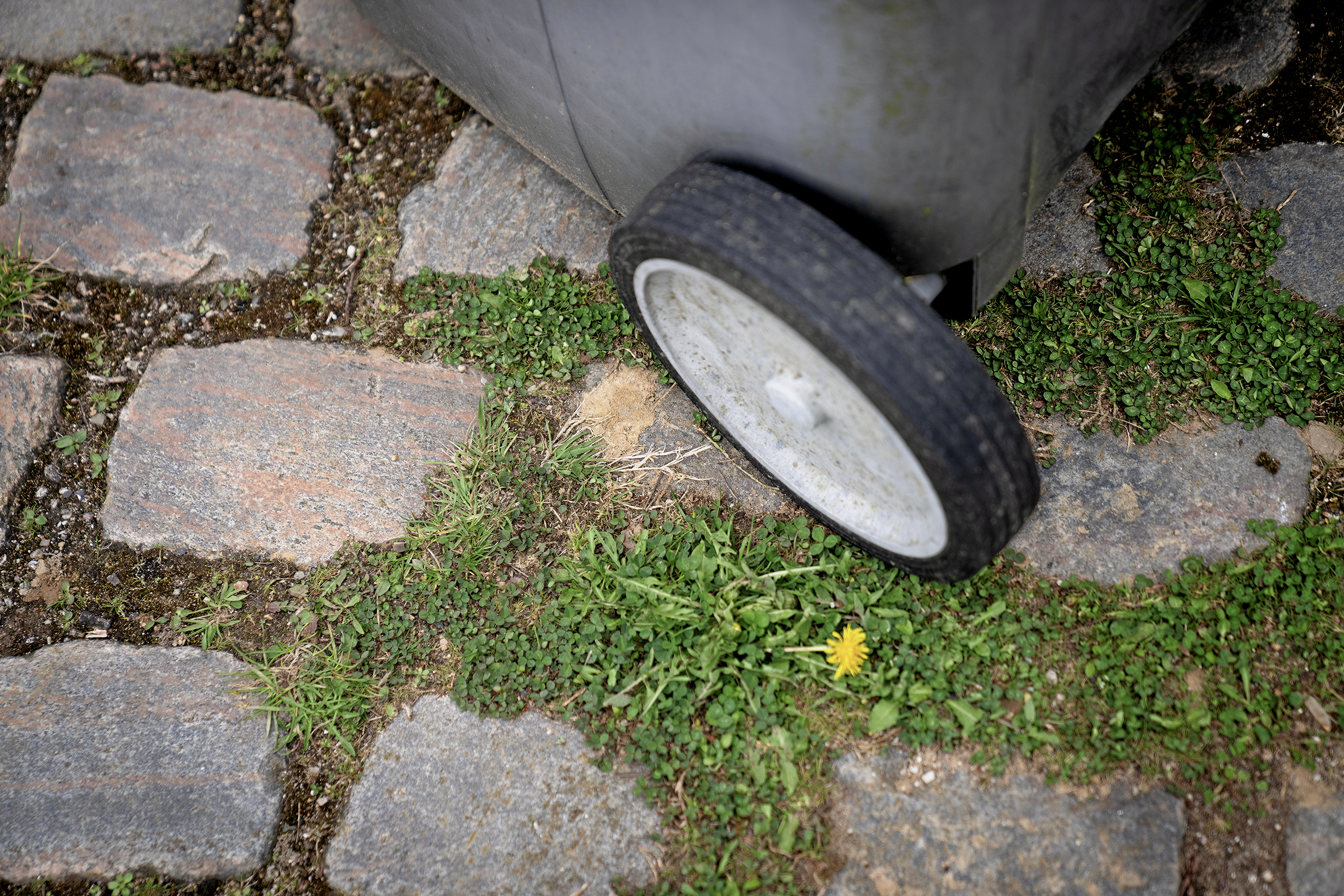 Skraldemændene fortjener en tak og et digt, mener læseren.