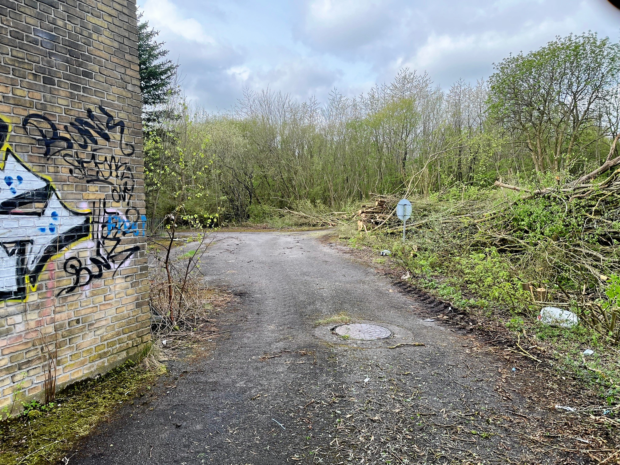 Radiogrunden er privat ejet, og derfor er det ikke helt ligetil at få ønsket opfyldt.