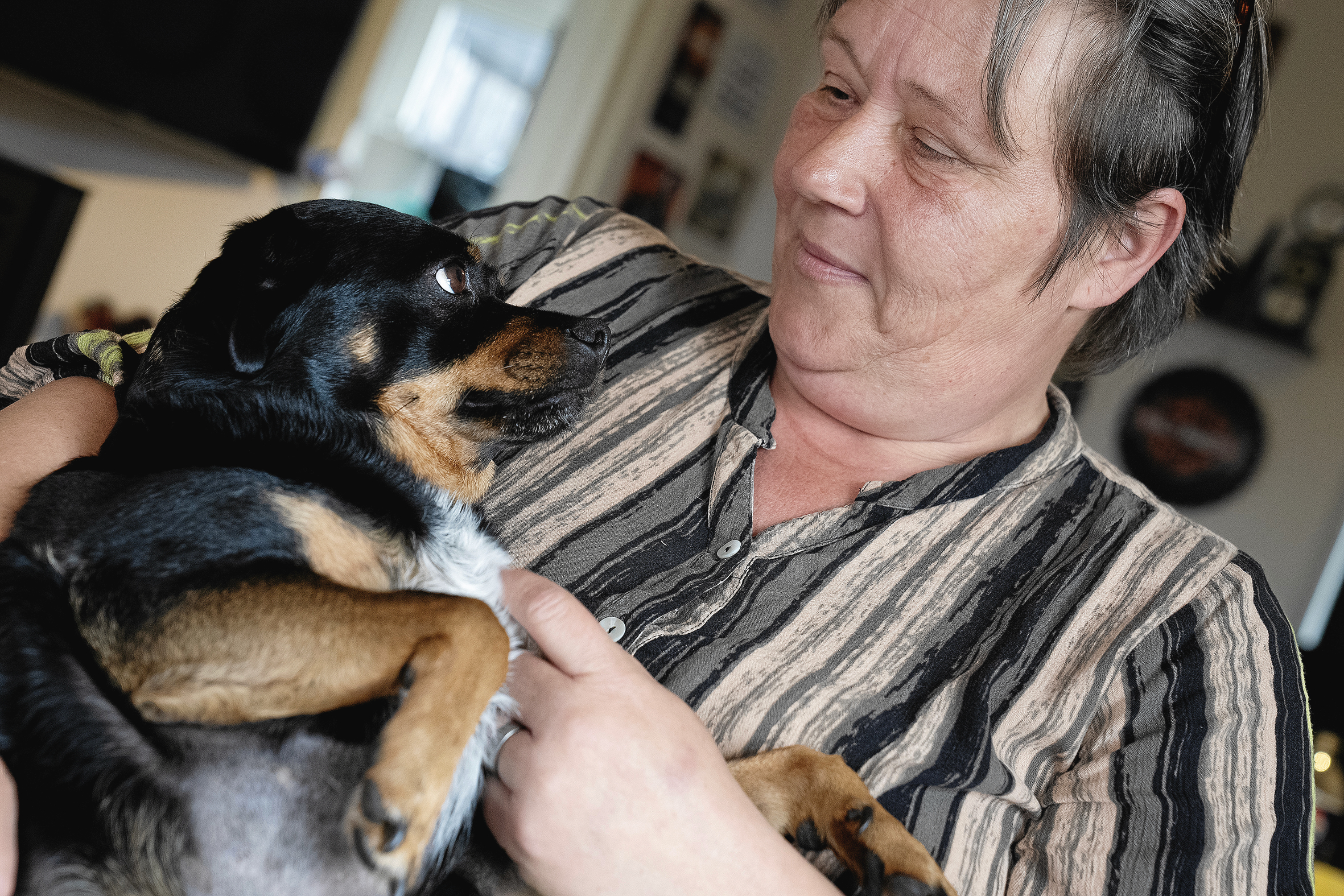 Rikke Albertsen og hendes hund blev overfaldet på åben gade, da de stod ansigt til ansigt med en bulldog, der angiveligt var sprunget over hegnet fra en have.
