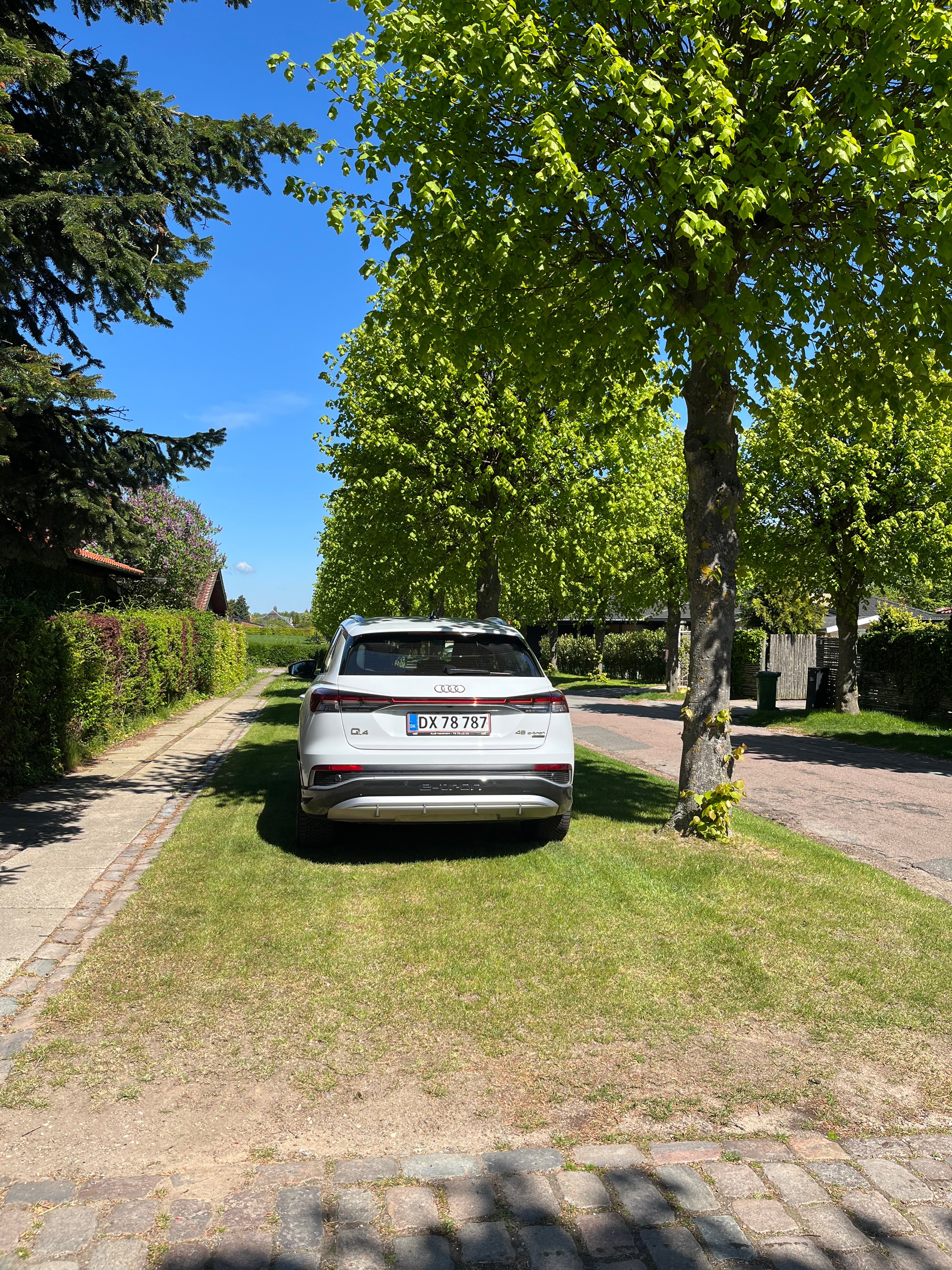 På den stille villavej Langs Hegnet i Hjortekær blev der uddelt mange bøder, da der sidste år var Hubertusjagt.
