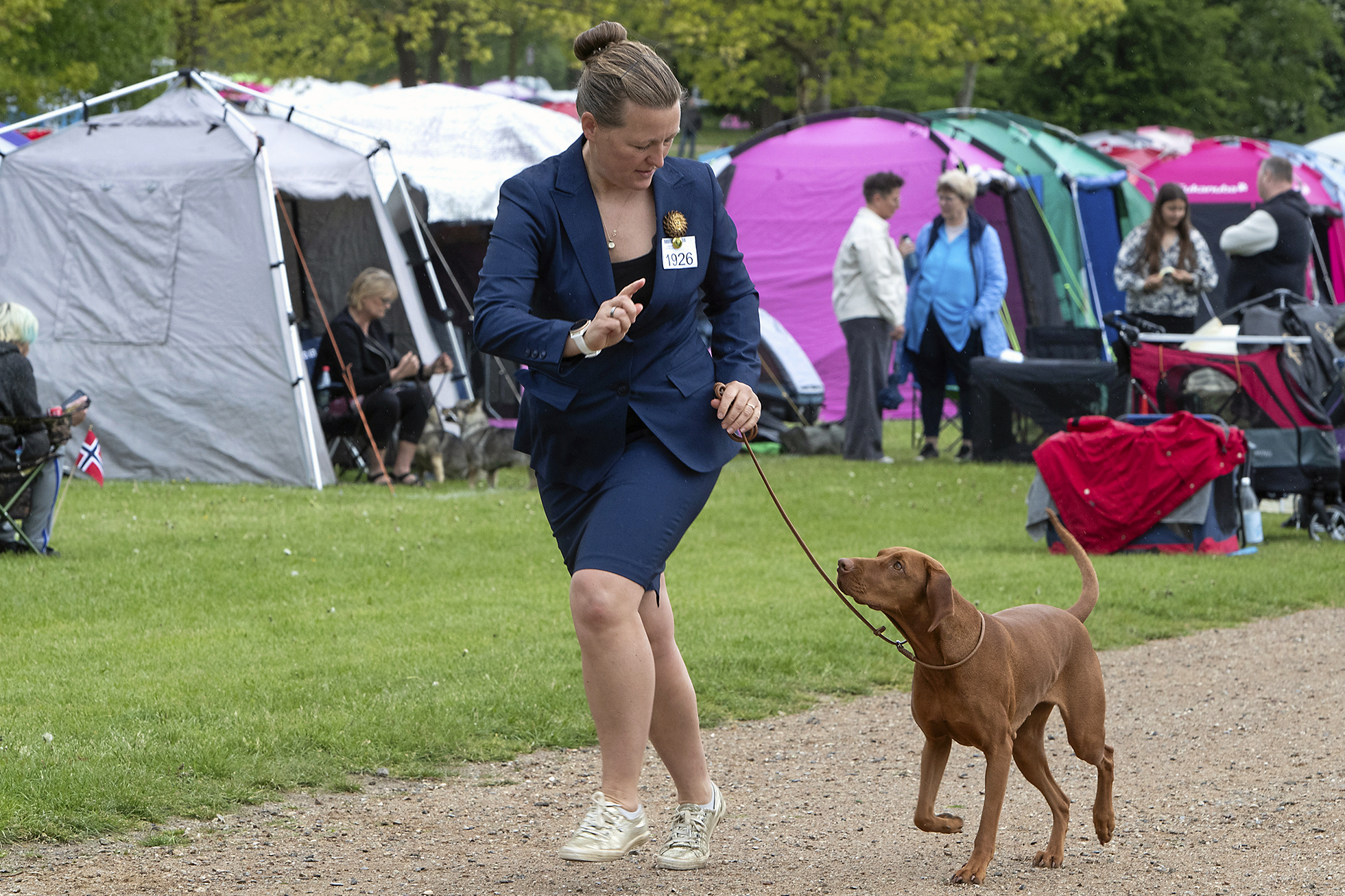 Dansk Kennel Klub er tilbage på Dyrskuepladsen med en stor hundeudstilling.