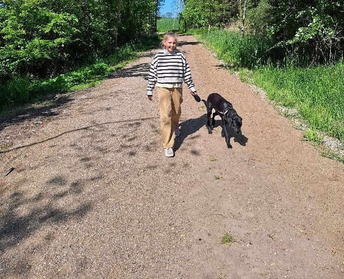 Arbejdet med at genetablere Søborg Sø begyndte i forsommeren 2024. Anlægsarbejdet har omfattet alt fra flytning af store mængder jord og grus til etablering af en ny rørbro under vejen Bygaden ved Søborg By og lukning af grøfter fyldt med jord. Derudover er der etableret et stisystem, som allerede er tilgængeligt for både gående, cyklister og ryttere.