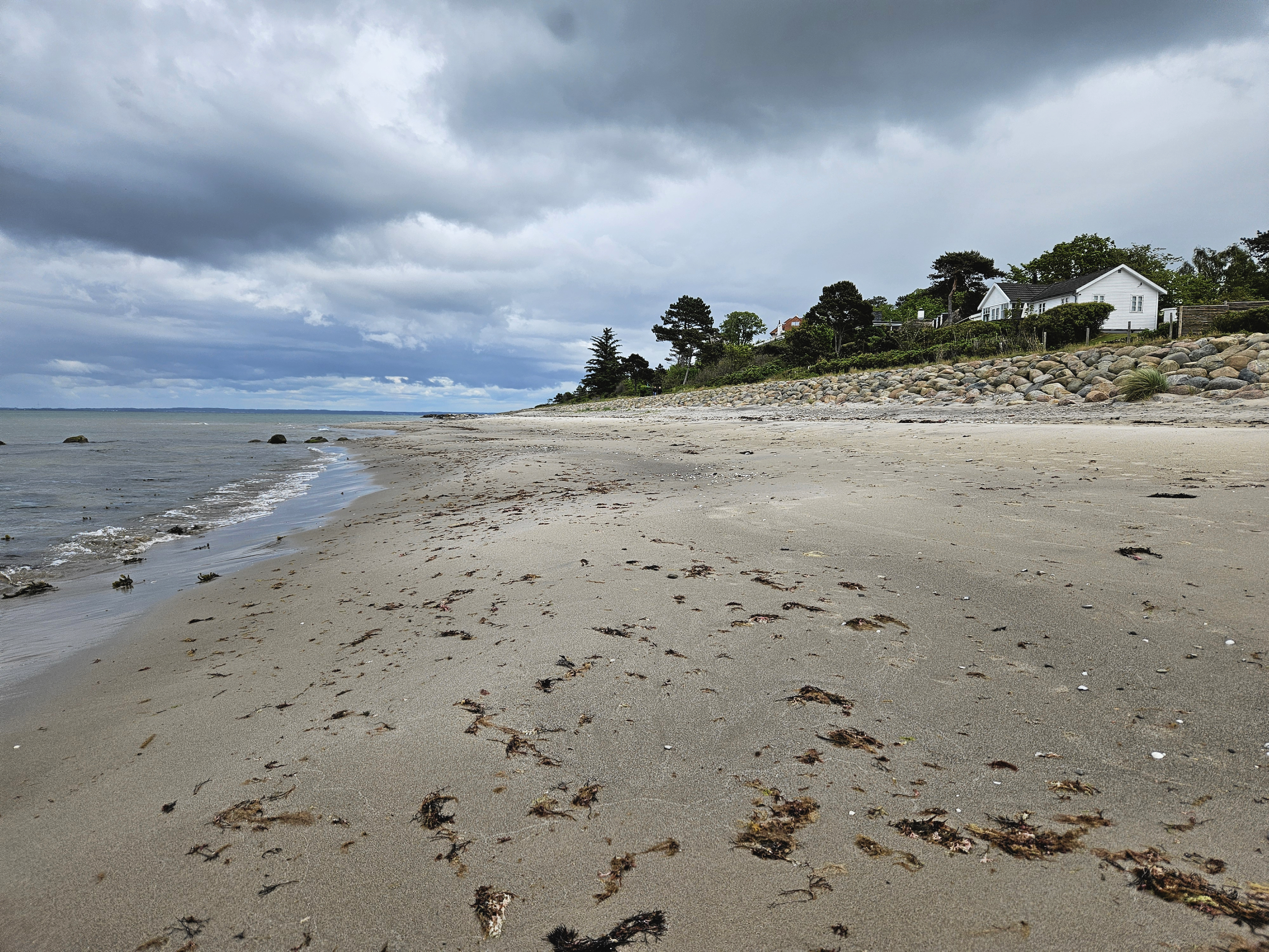 Stranden i Villingebæk har det fint, så ingen grund til at strandfodre her, lyder meldingen i høringssvar til Gribskov kommune