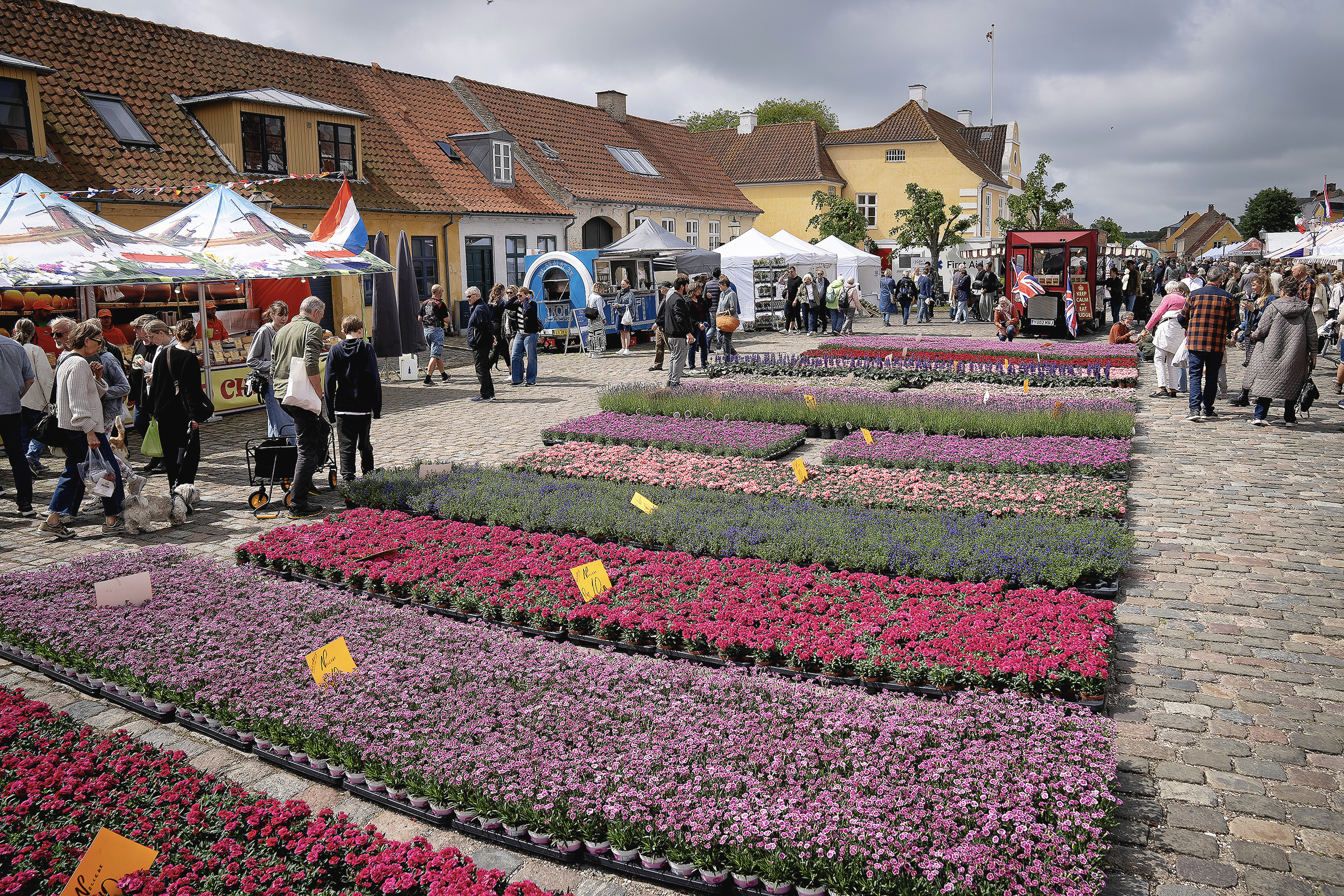 Over 50.000 mennesker har over tre dage besøgt kødstaden Præstø til det populære marked Fransk Forår.