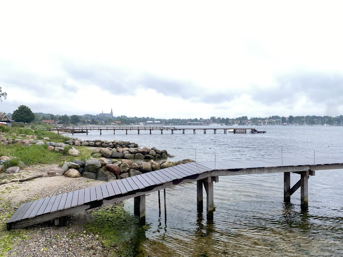 Der er langt flere og større badebroer langs fjorden end tilladt. Det bliver der nu gjort noget ved.