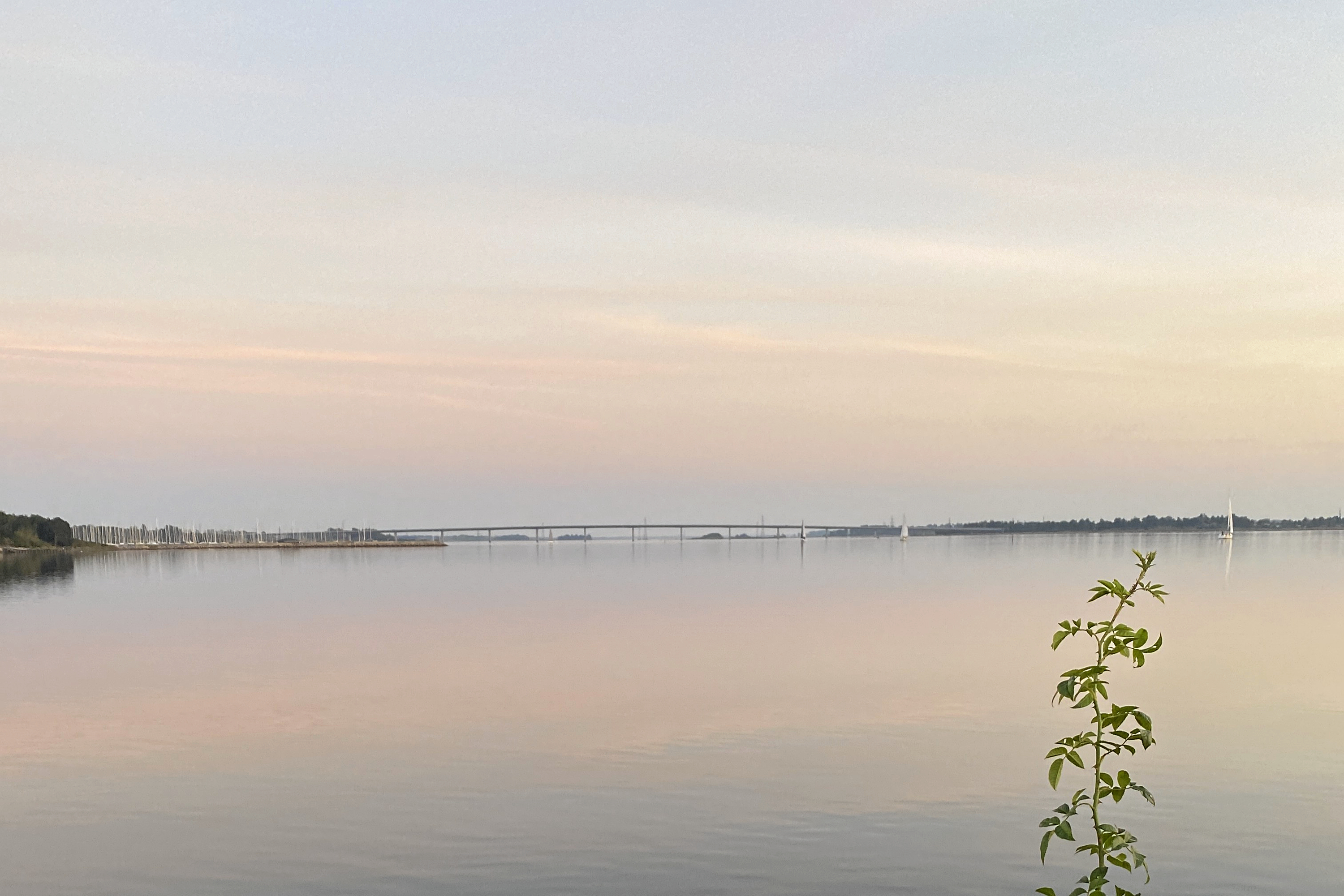 Roskilde Fjord og Isefjorden skal have det bedre. Udvalg er kommet med anbefalinger, så Frederikssund Kommune kan nå i mål med den grønne omstilling.
