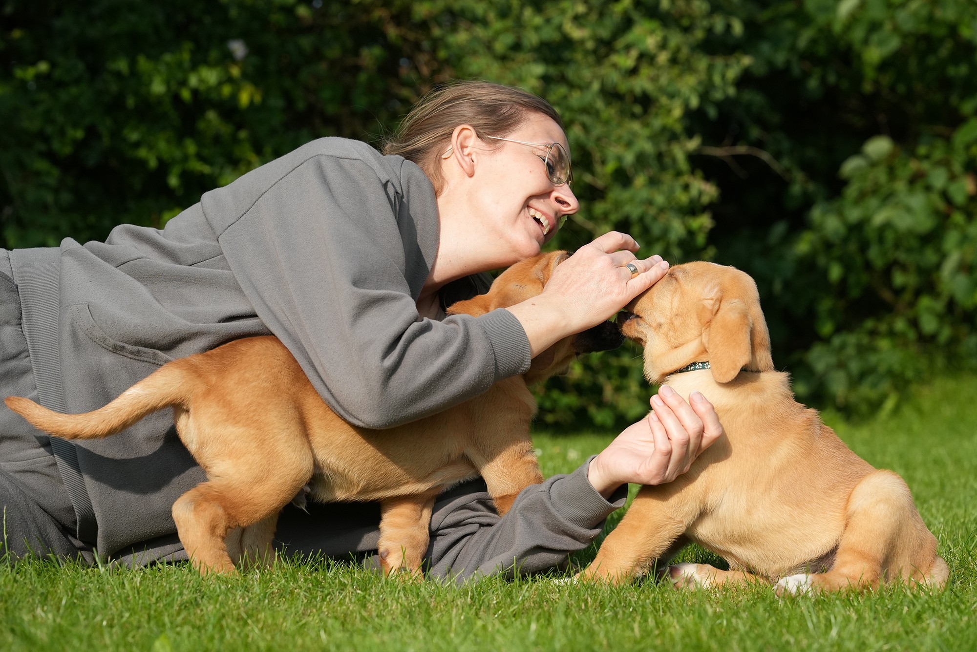 Helle Bjerregaard har nydt hvert et øjeblik med de 18 broholmer-hvalpe. Men det har været hårdt.