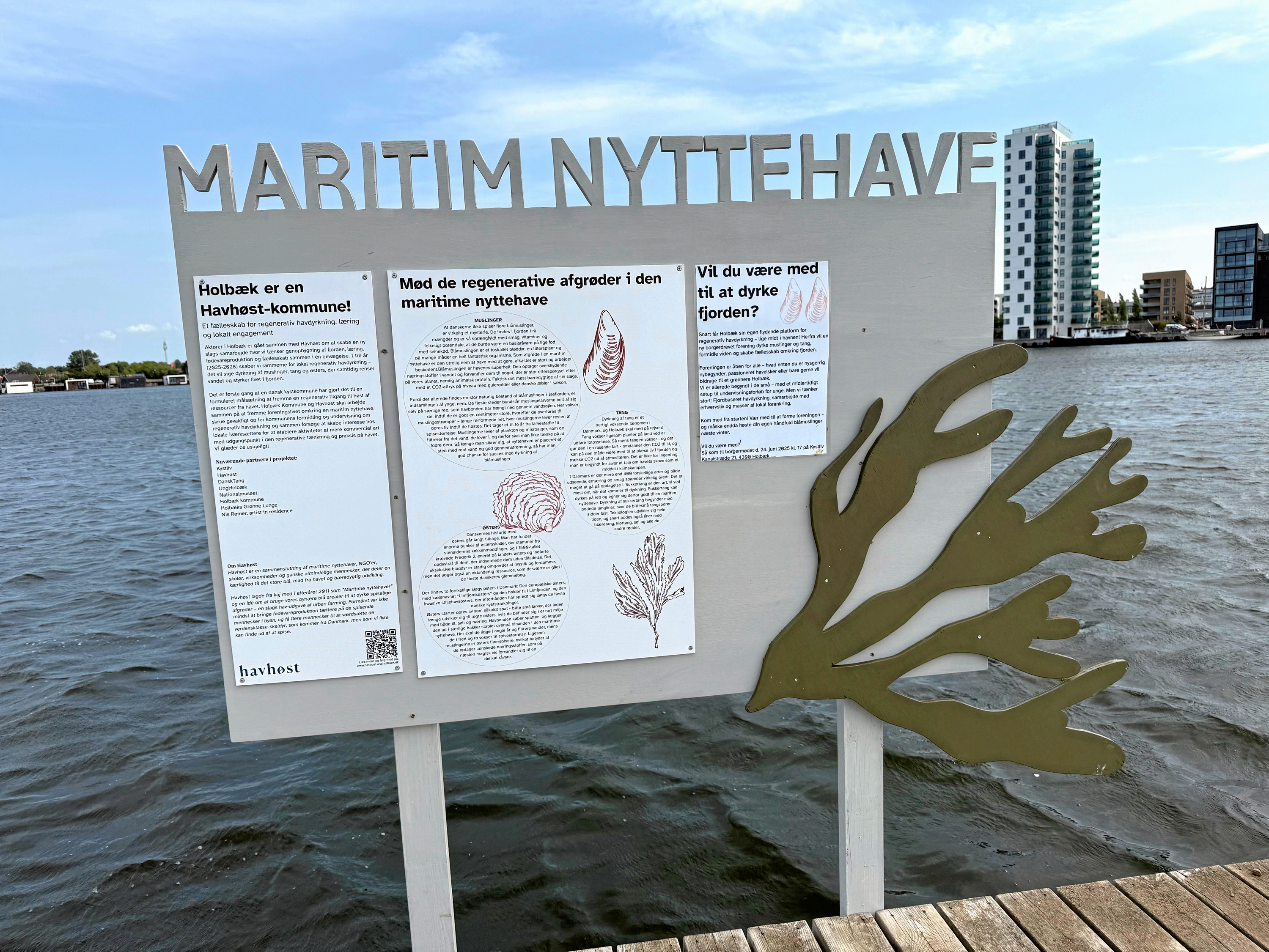 Holbæk Kommune har etableret Danmarks første “Havhøst-kommune” med maritime nyttehaver i Holbæk Fjord, men bag projektets ambitioner gemmer sig betydelige udfordringer, mener skribenten.