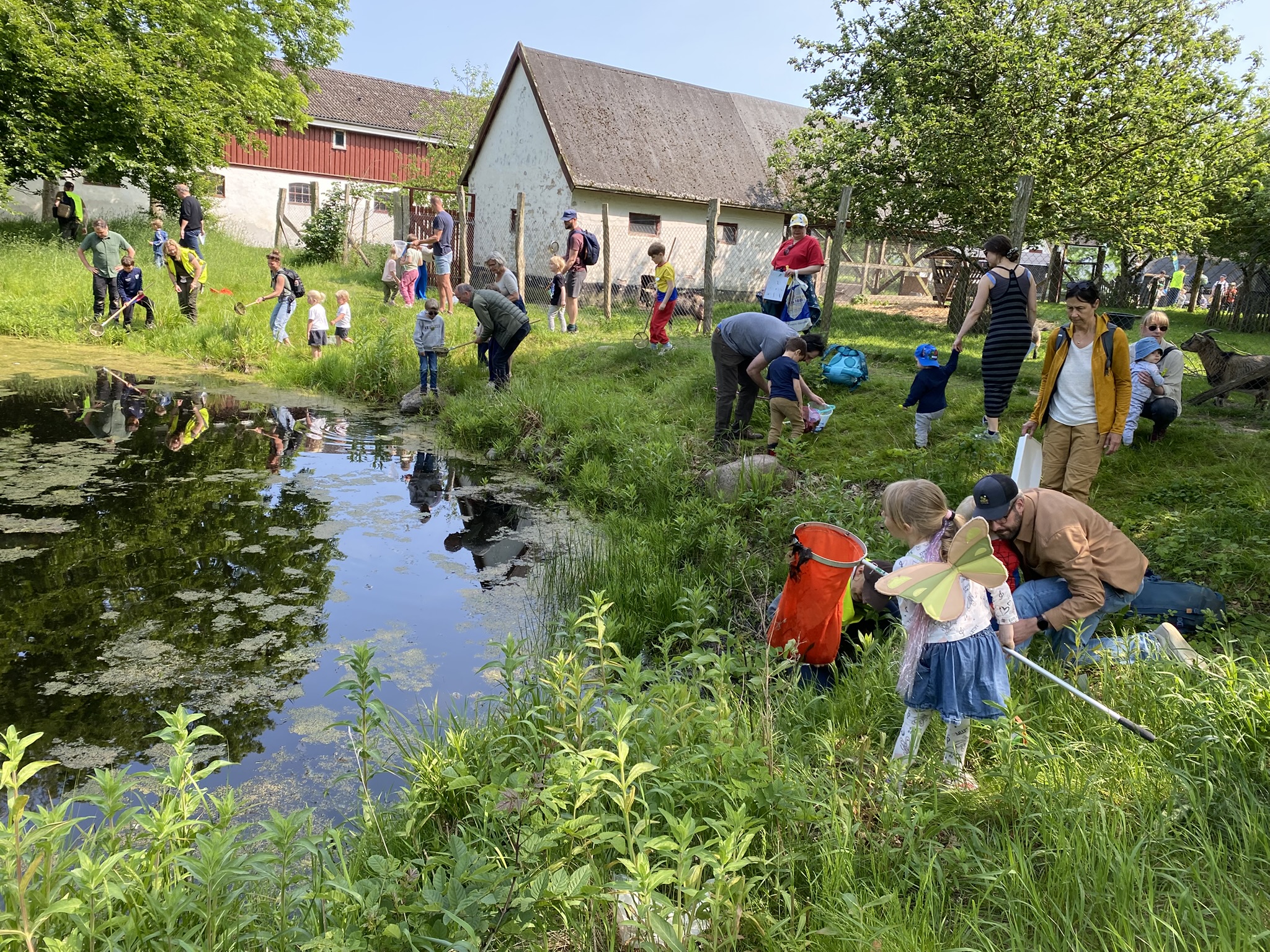Flyndergård er allerede et godt udflugtsmål for naturhungrende familier.