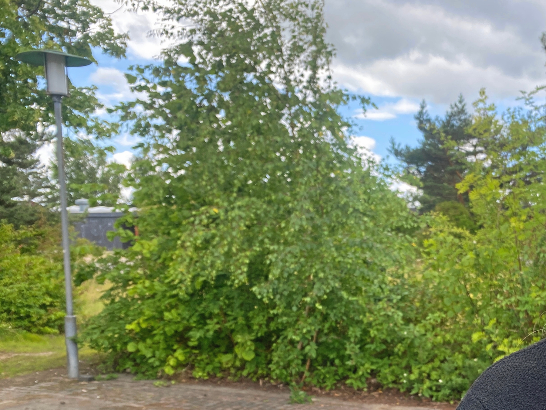 Louise Rydgrens datter klagede skriftligt over den mandlige lærer, men hørte aldrig noget fra skoleledelsen. - En smutter, siger skoleledelsen. - Britt Nielsen Louise Rydgrens datter klagede skriftligt over den mandlige lærer, men hørte aldrig noget fra skoleledelsen. - En smutter, siger skoleledelsen.