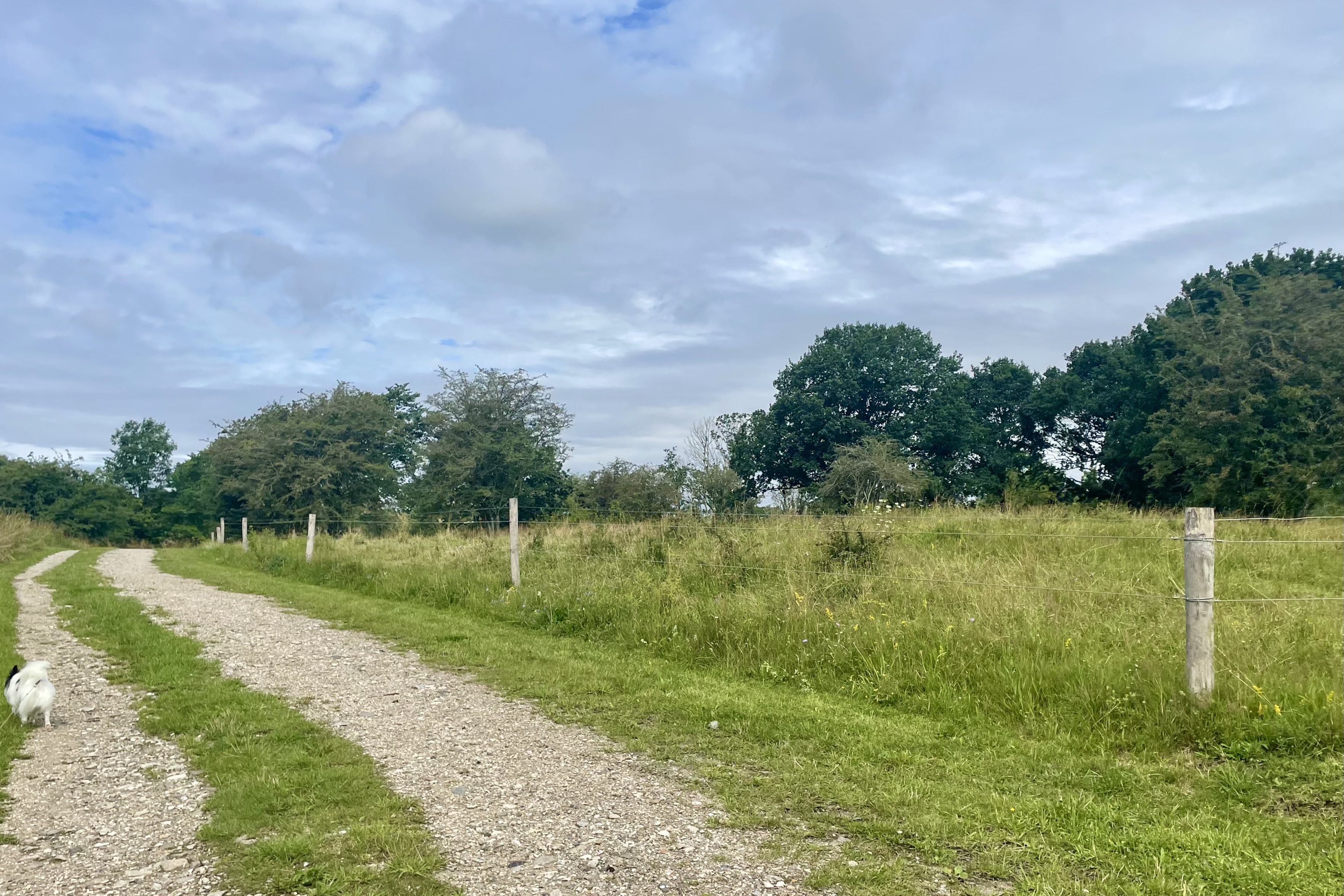 Lavringe Kildeplads er et af de steder i Lejre Kommune, hvorfra der hentes grundvand op fra undergrunden.